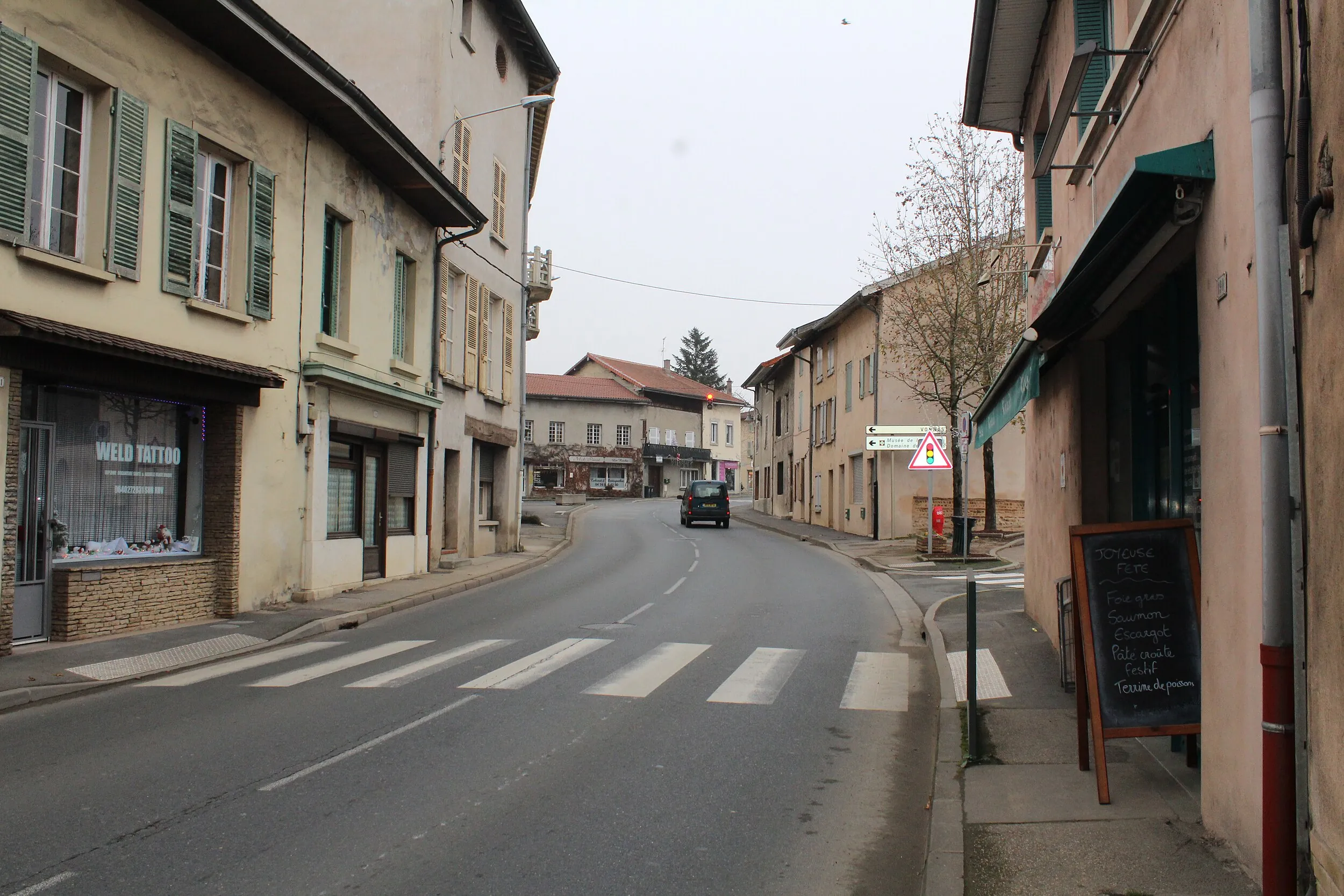 Vue de Neuville-sur-Ain