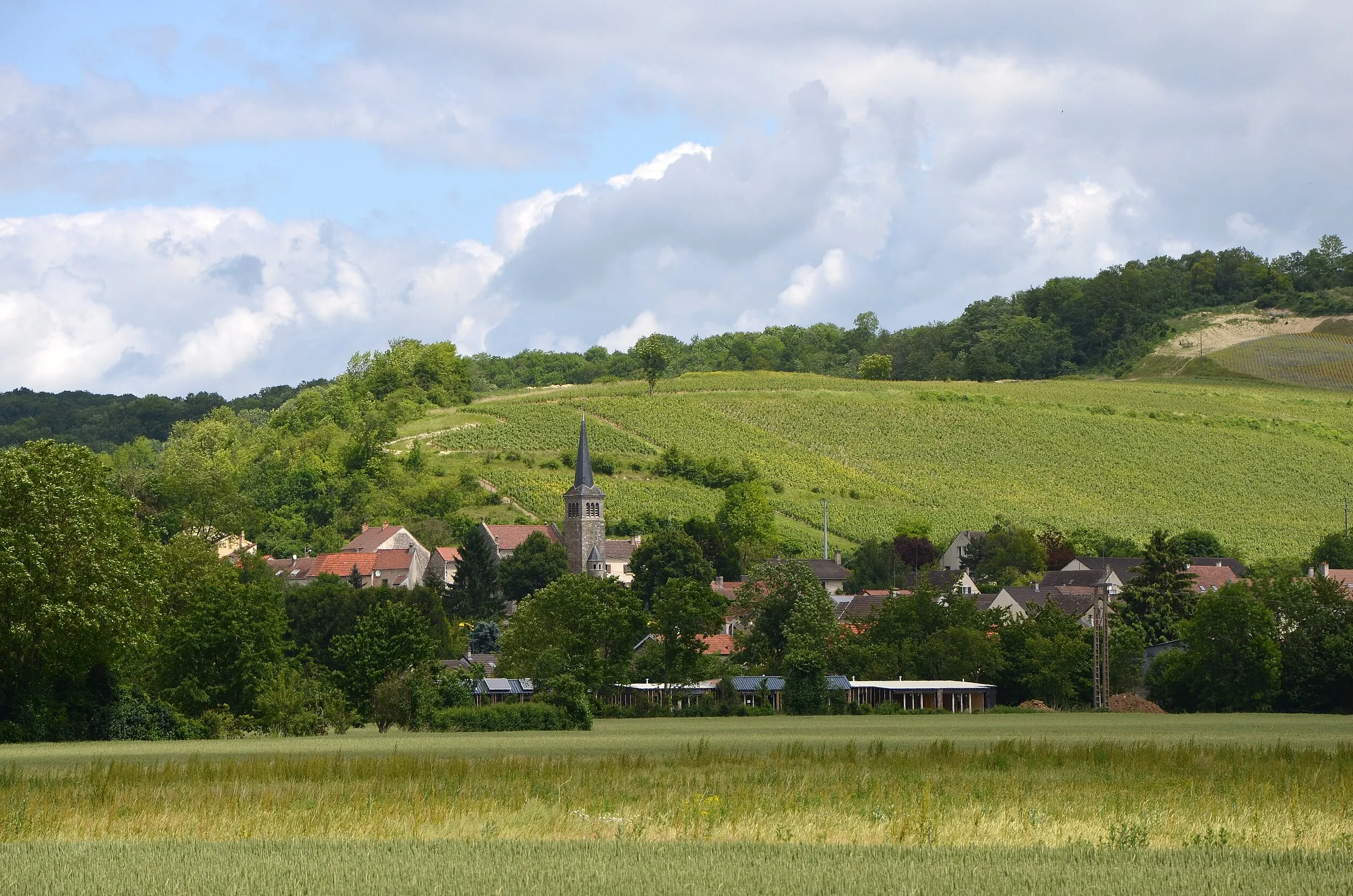 Vue de Brasles