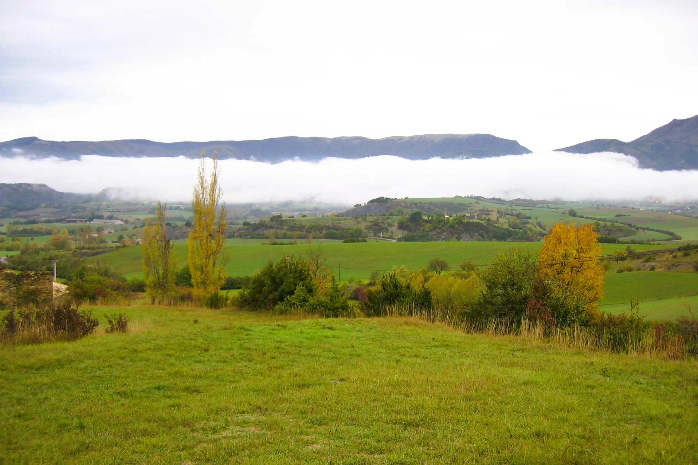 Vue de Saint-André-les-Alpes