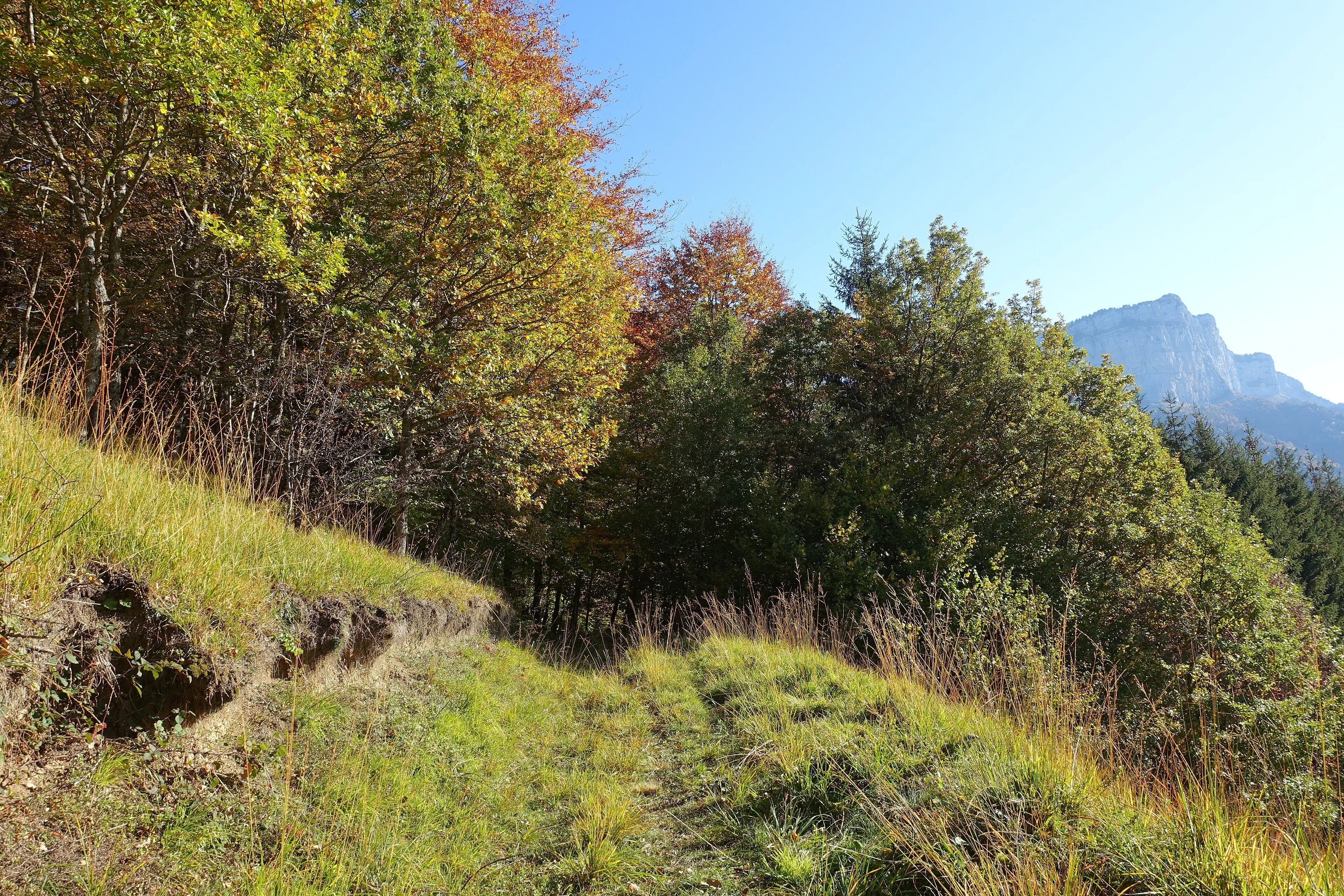 Vue de Saint-Clair