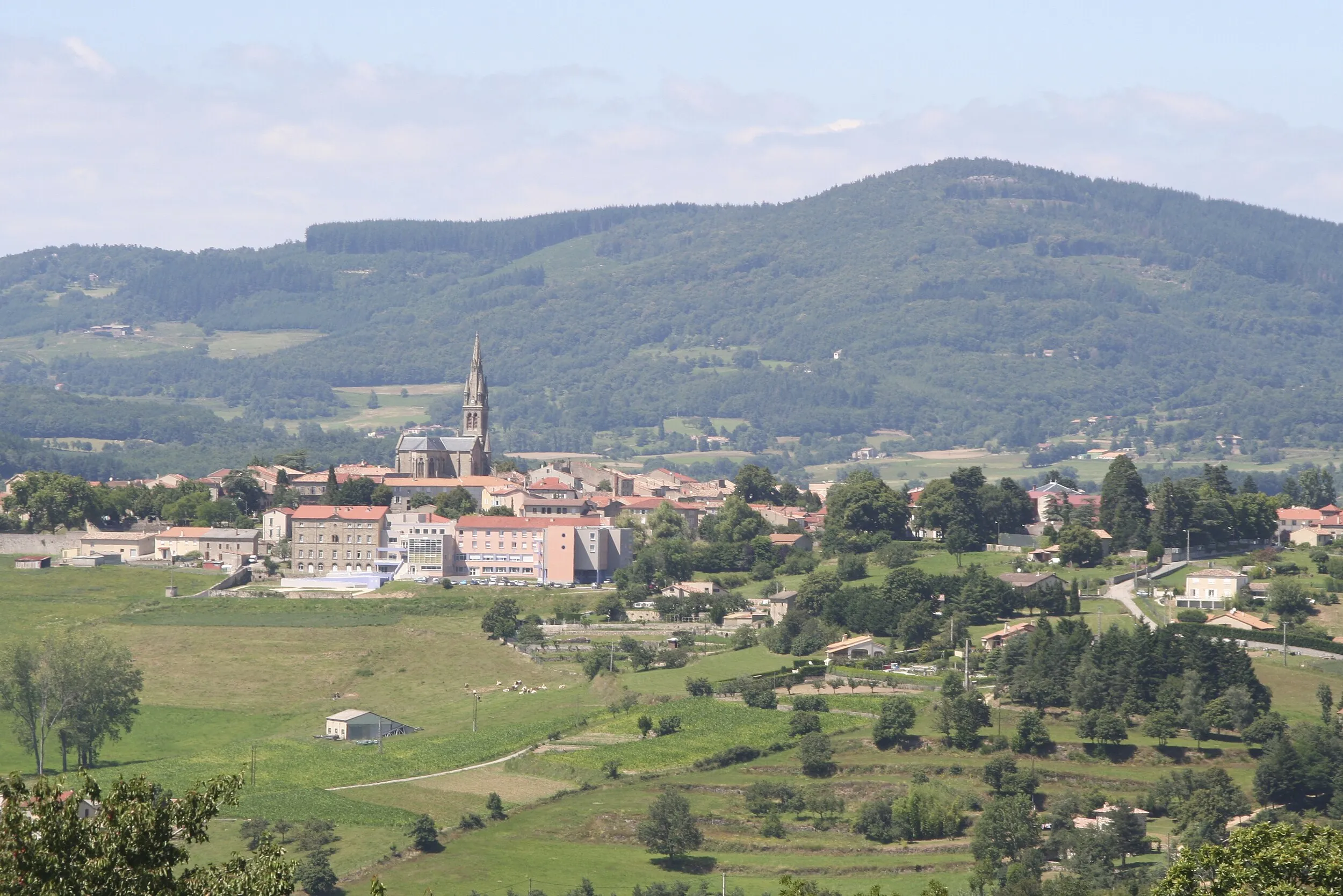 Vue de Vernoux-en-Vivarais