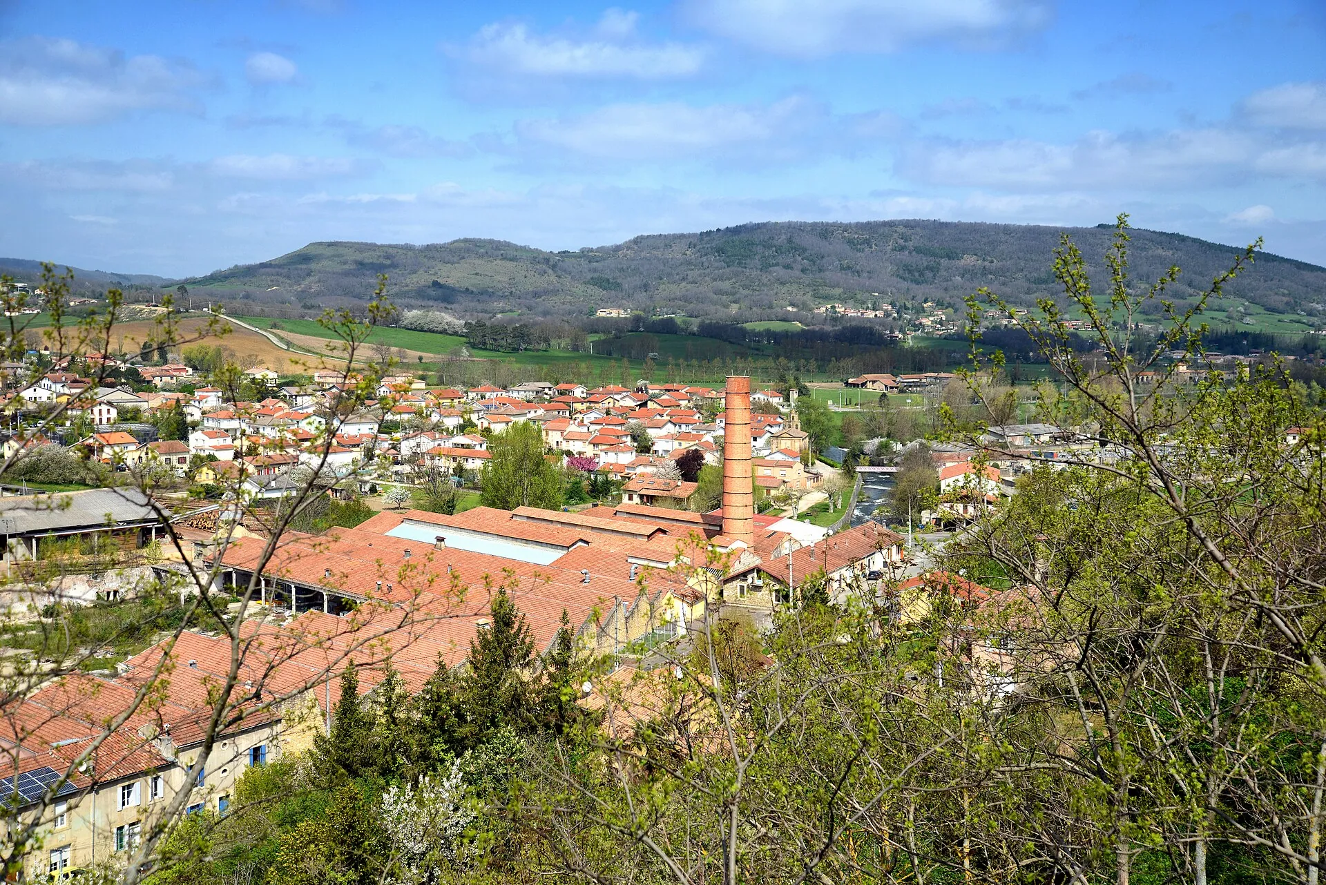 Vue de Laroque-d'Olmes