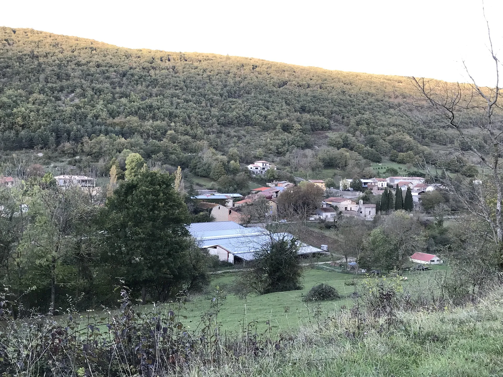 Vue de Lavelanet