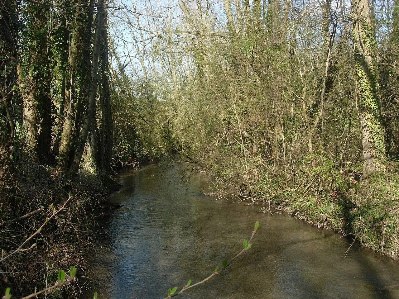 Vue de Estissac