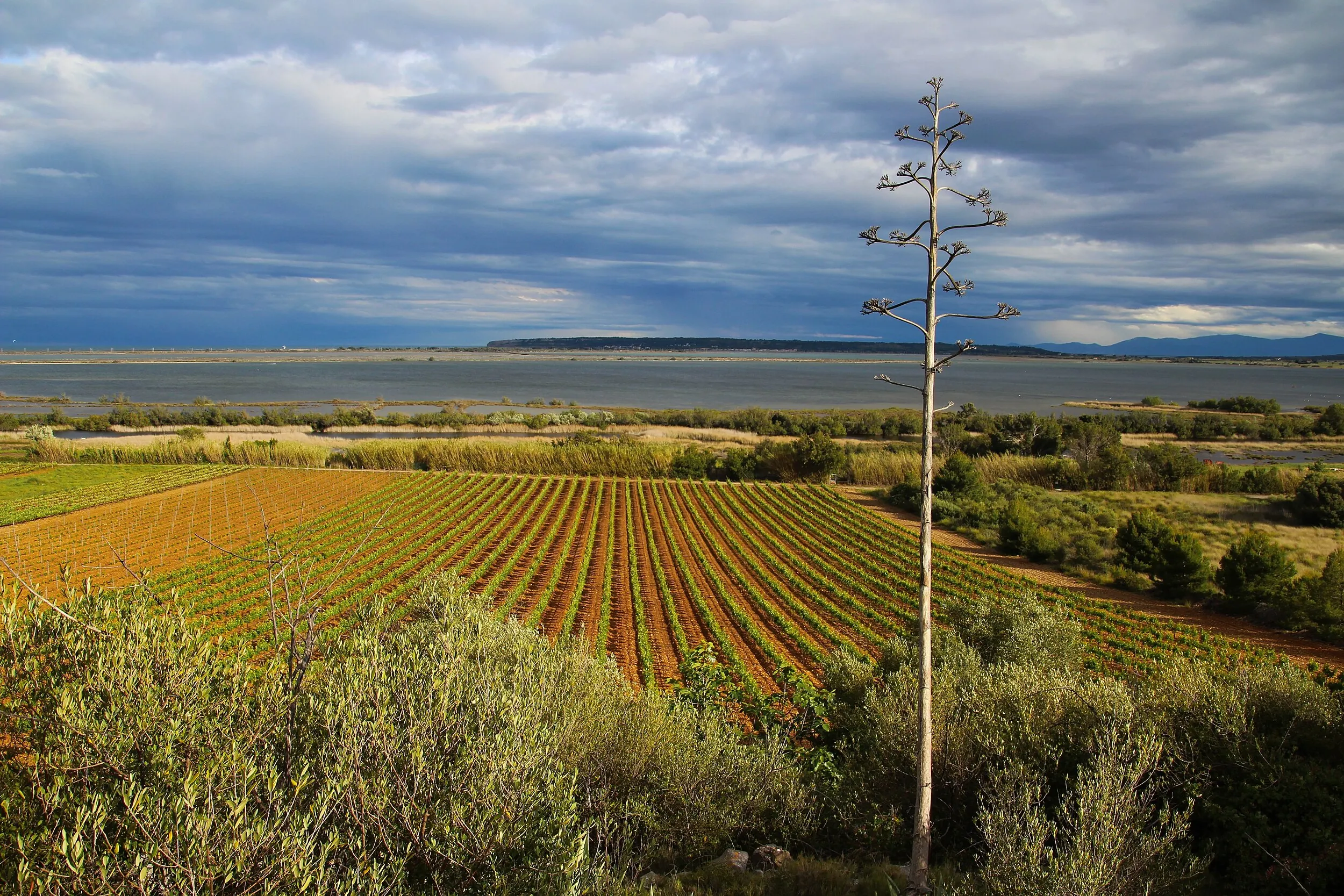 Vue de La Palme