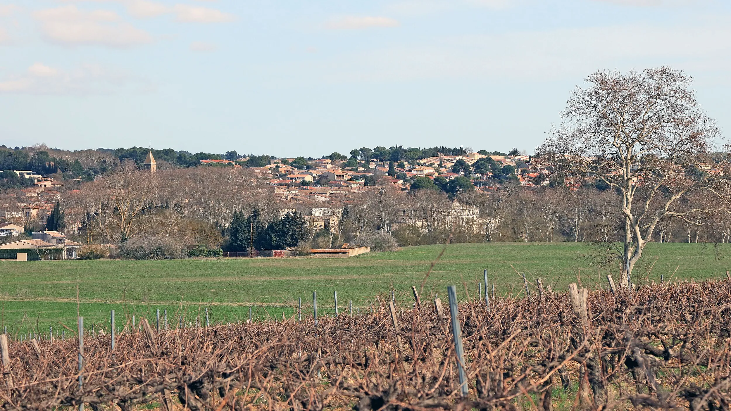 Vue de Pennautier