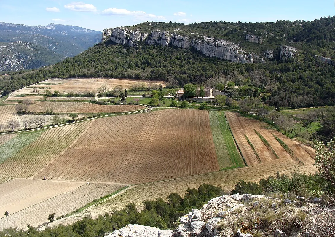 Vue de Roquefort-la-Bédoule