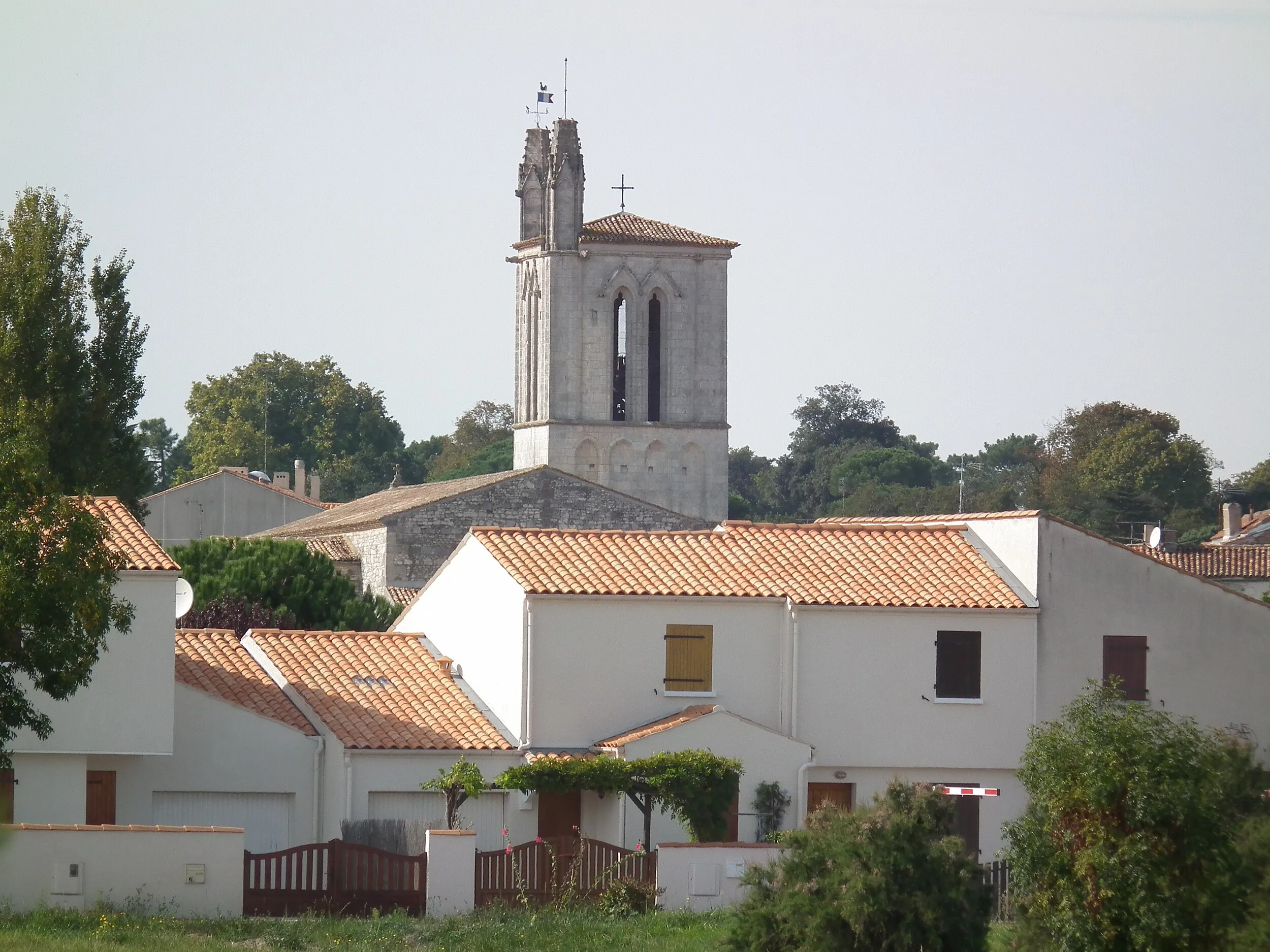 Vue de Meschers-sur-Gironde