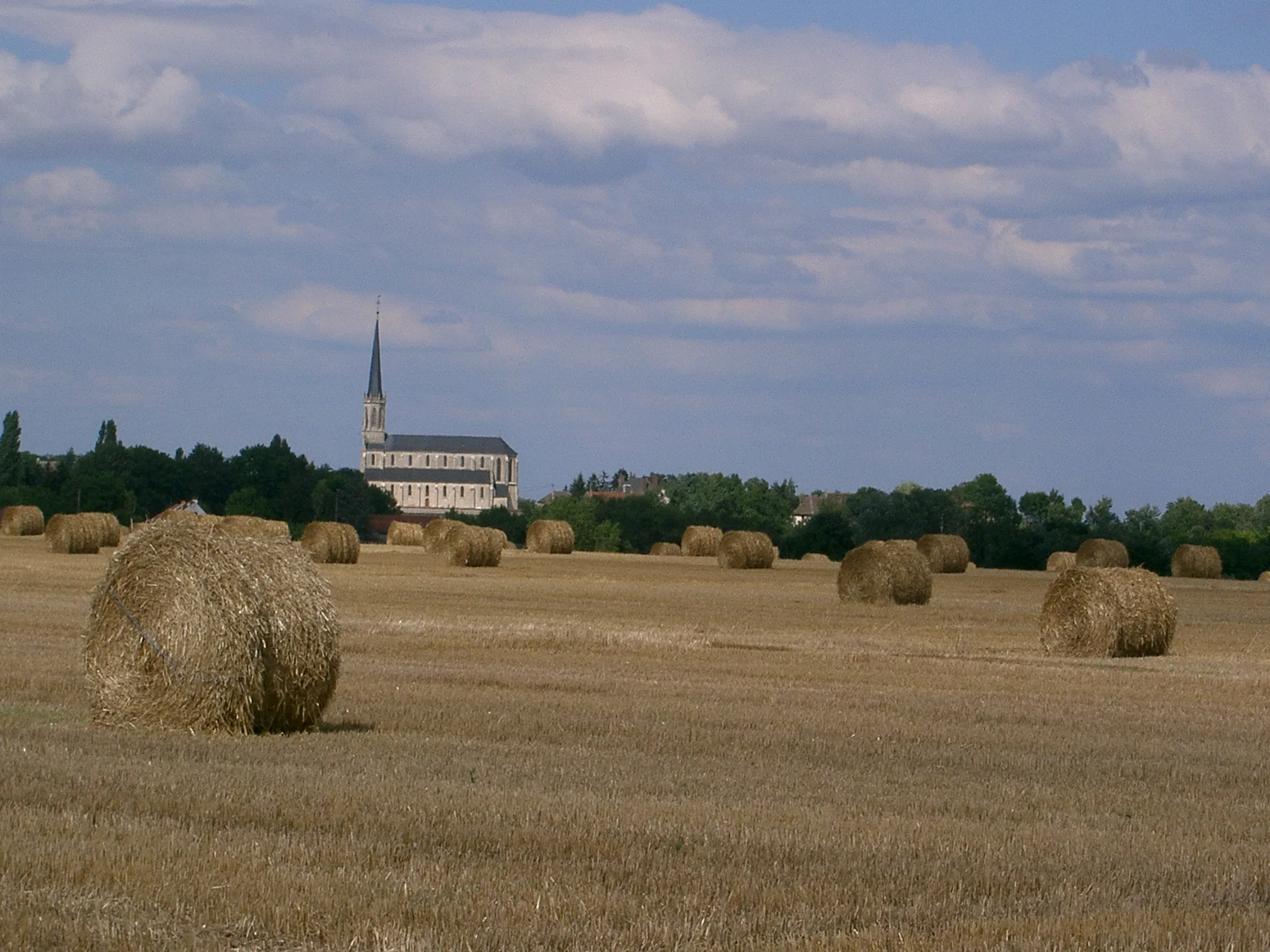 Vue de Labergement-lès-Seurre