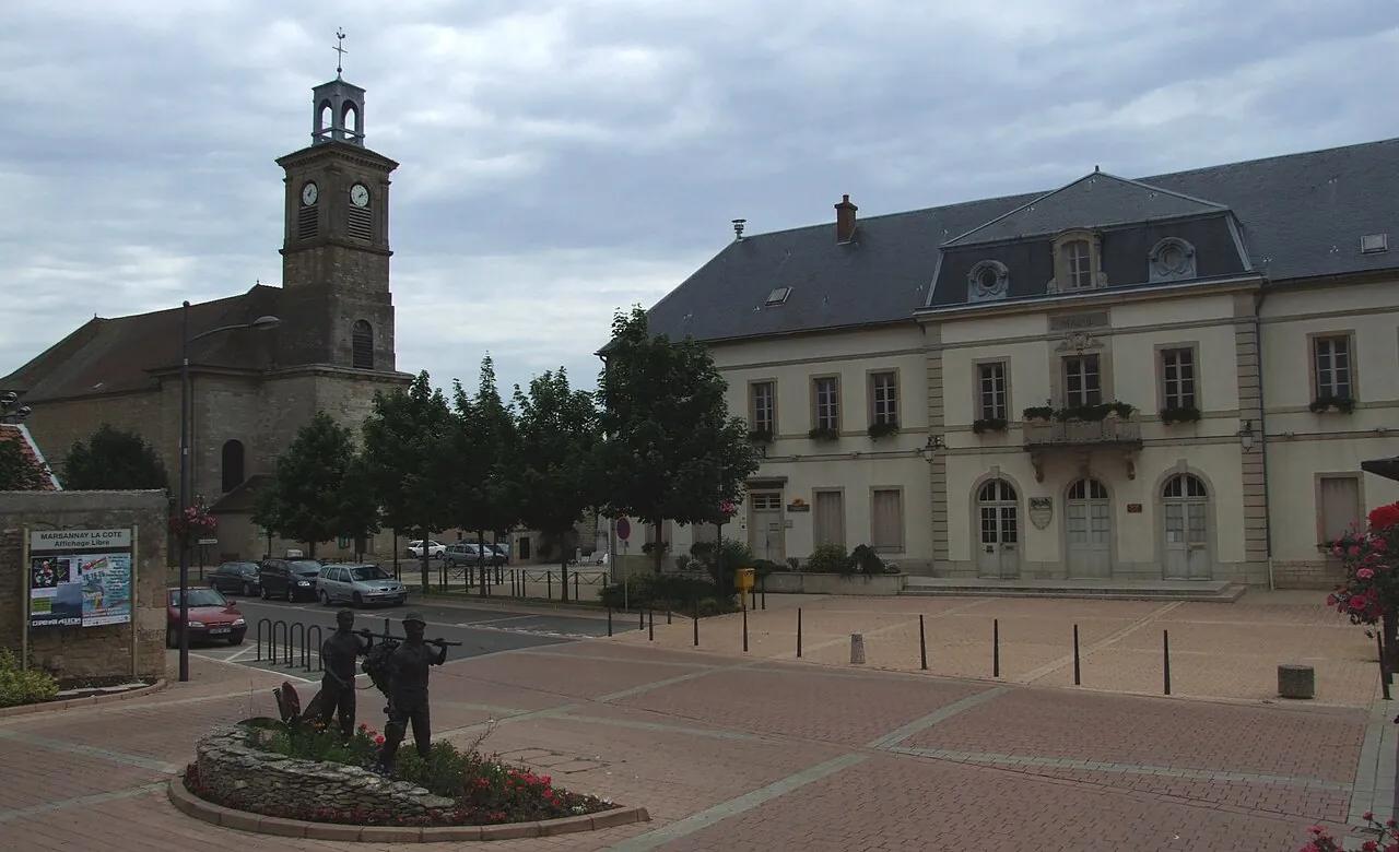 Vue de Marsannay-la-Côte