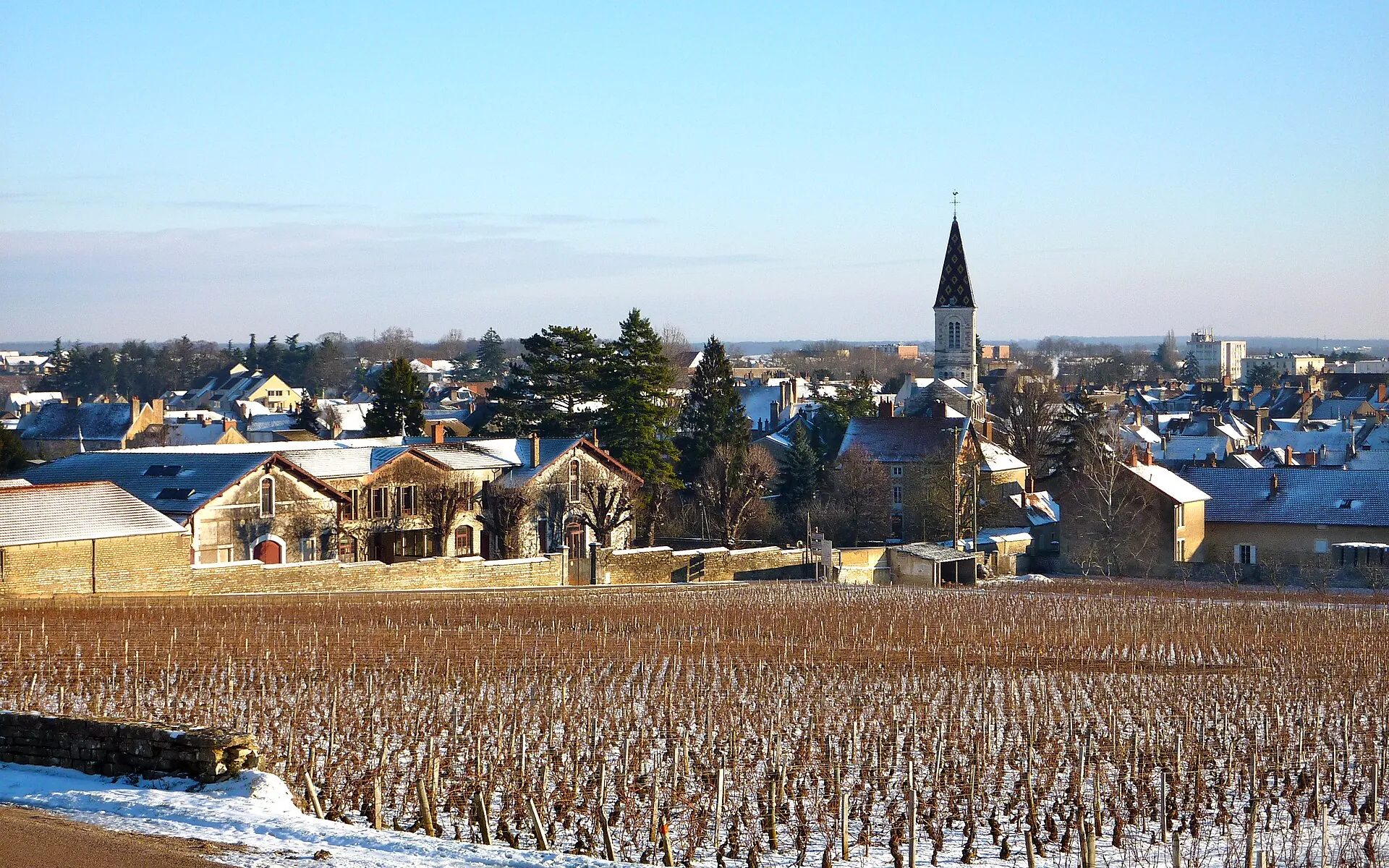 Vue de Nuits-Saint-Georges