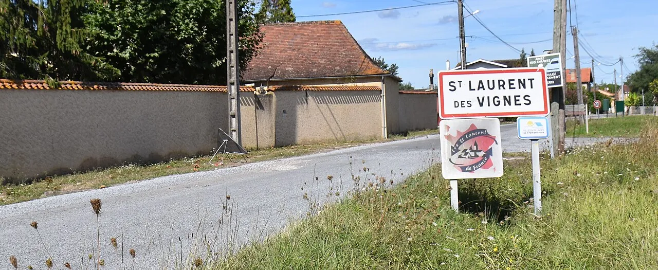 Vue de Saint-Laurent-des-Vignes