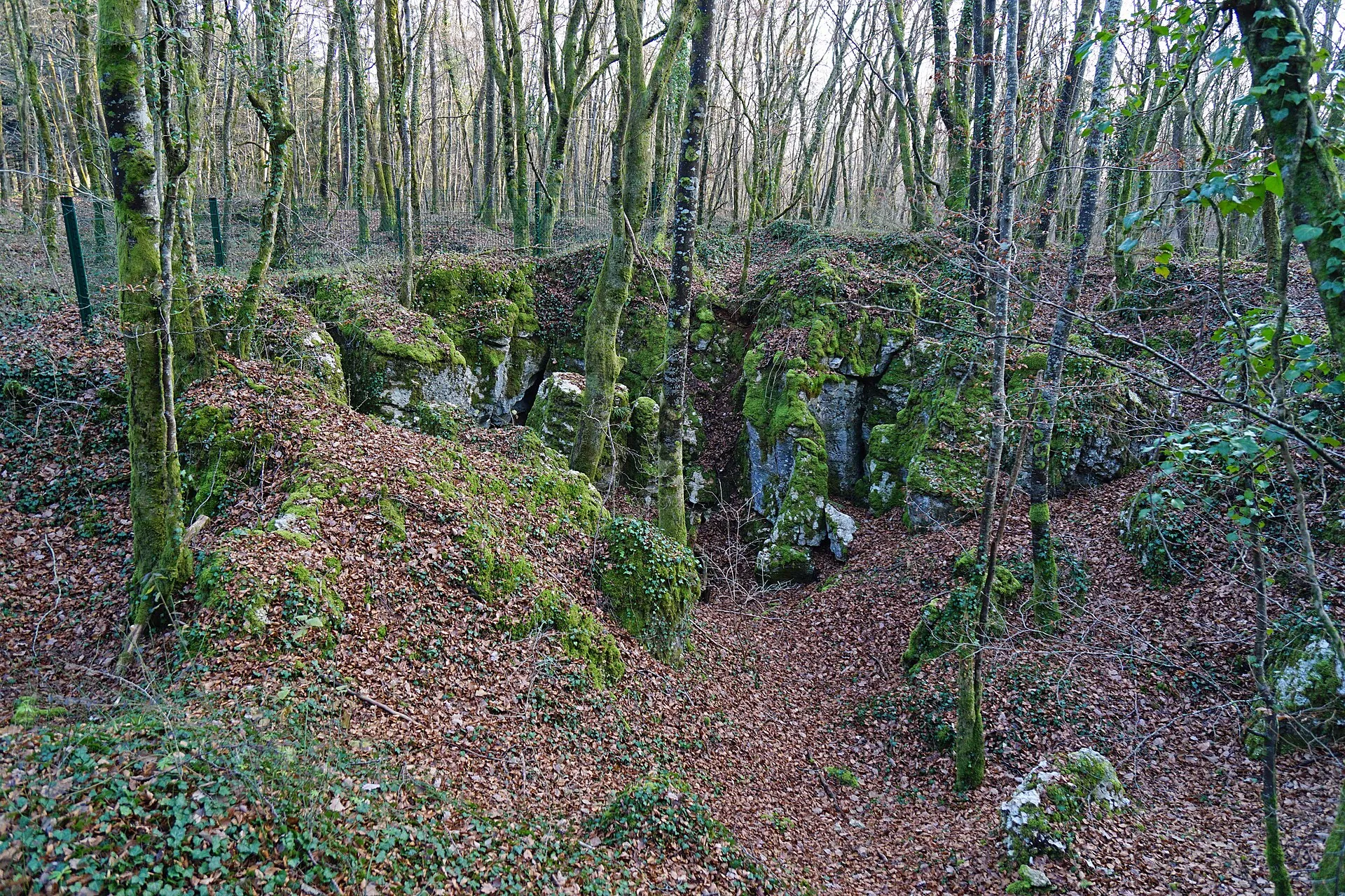 Vue de Bethoncourt