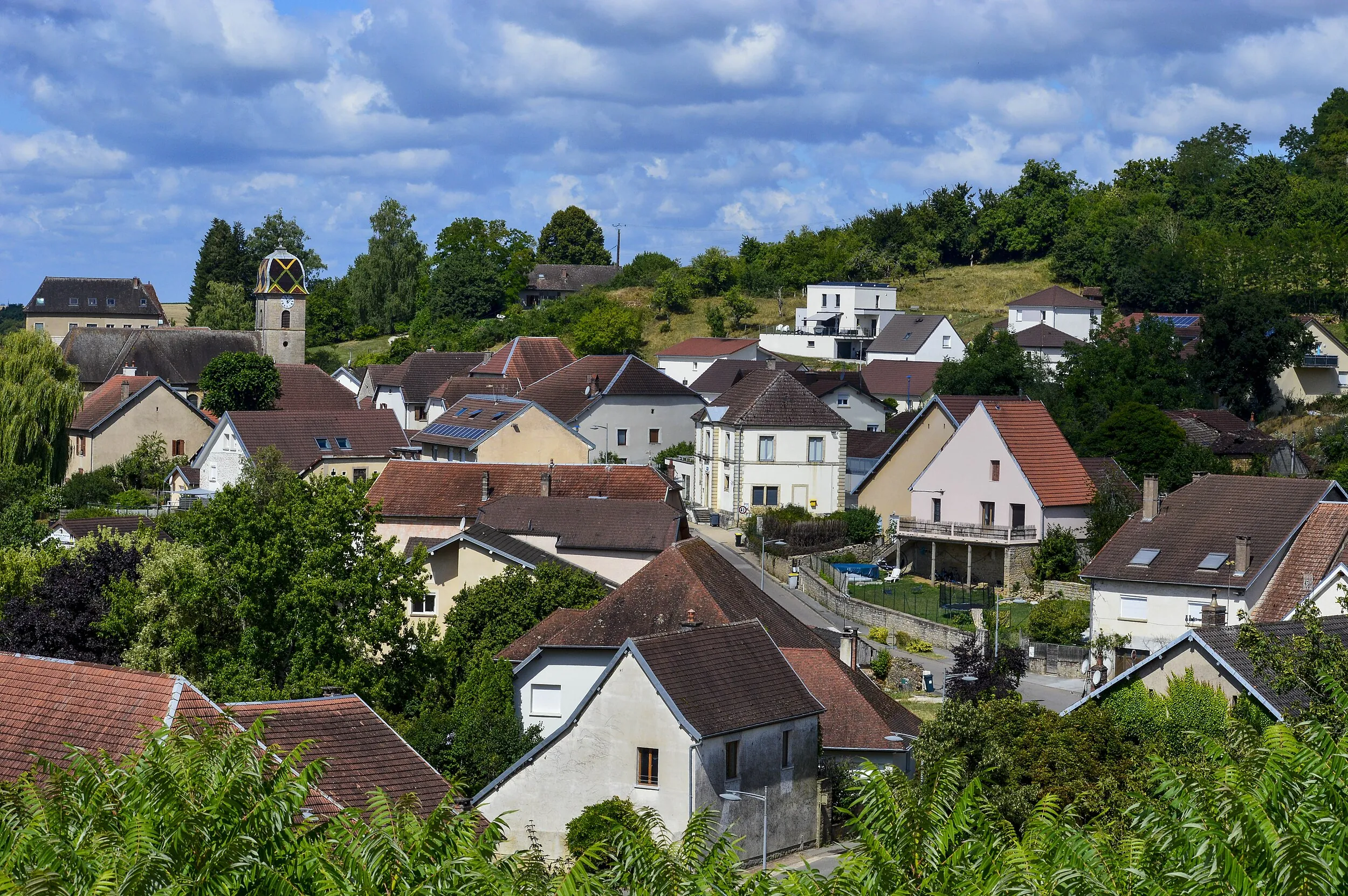 Vue de Pelousey