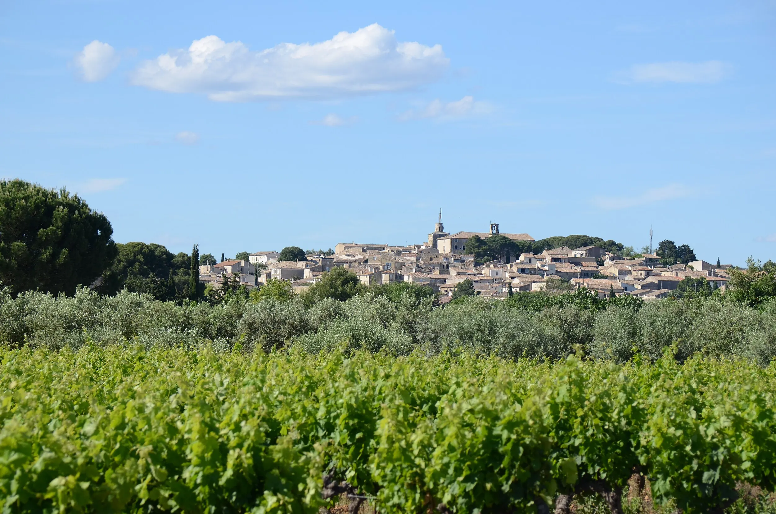 Vue de Gallargues-le-Montueux
