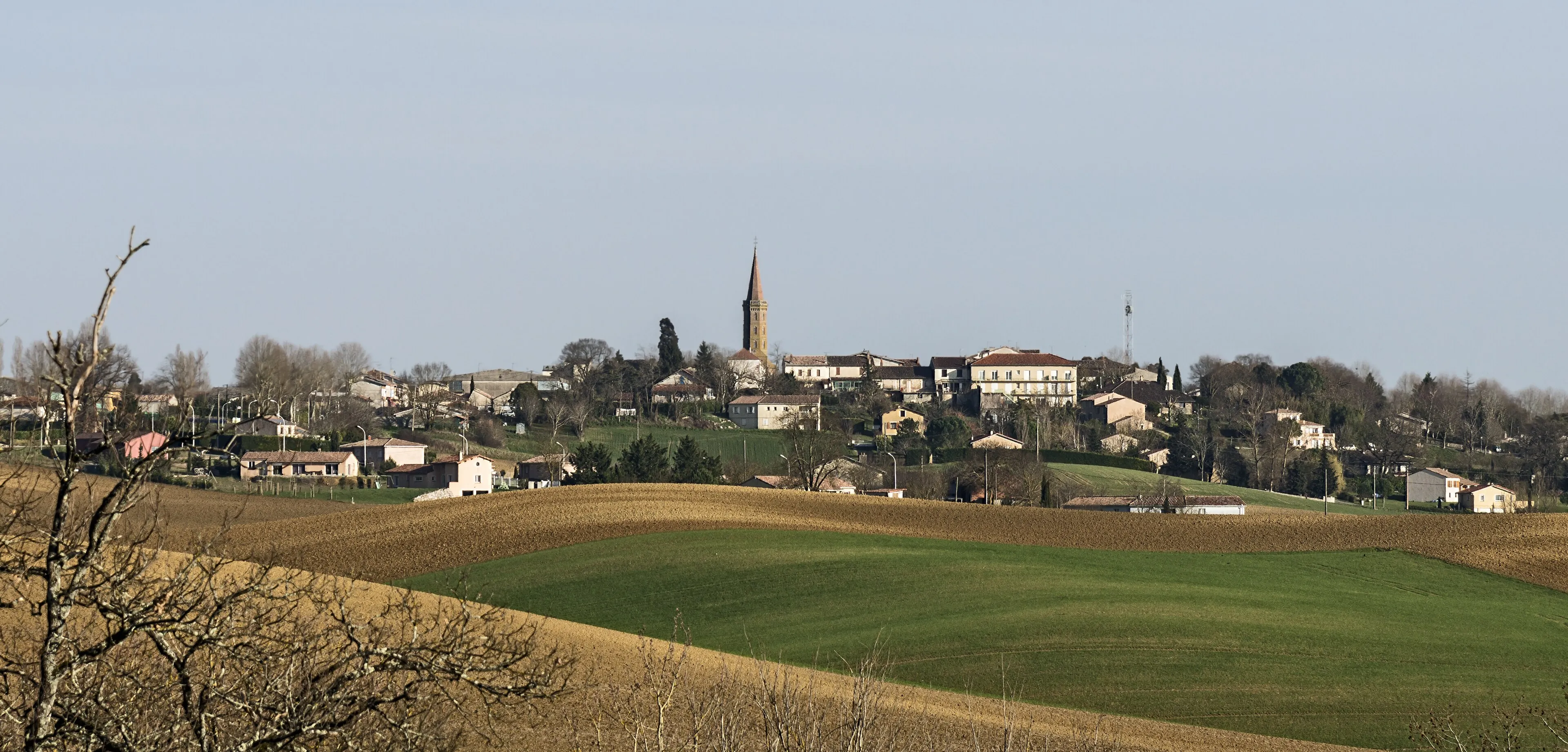 Vue de Cadours