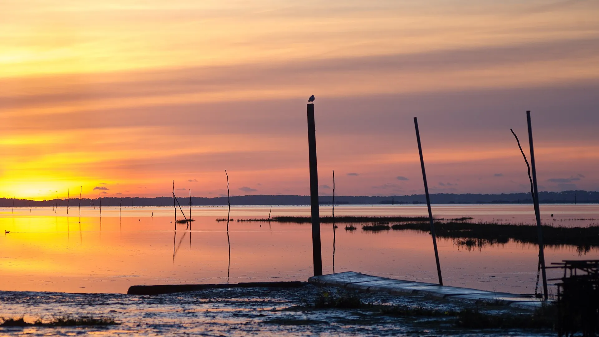 Vue de Arcachon