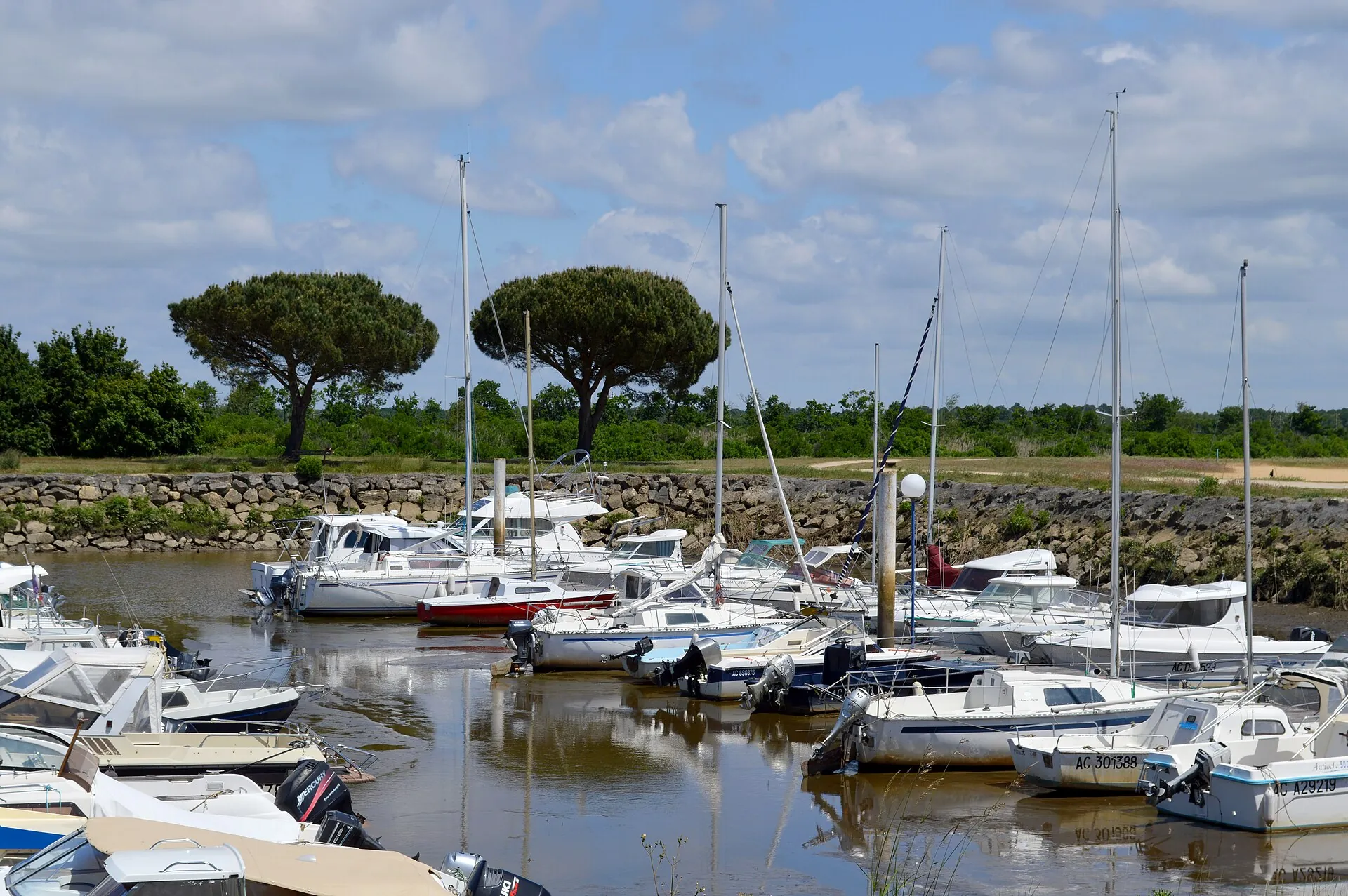 Vue de Le Teich