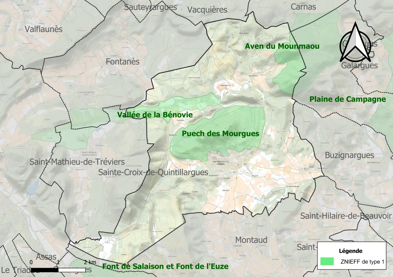 Vue de Saint-Bauzille-de-Montmel