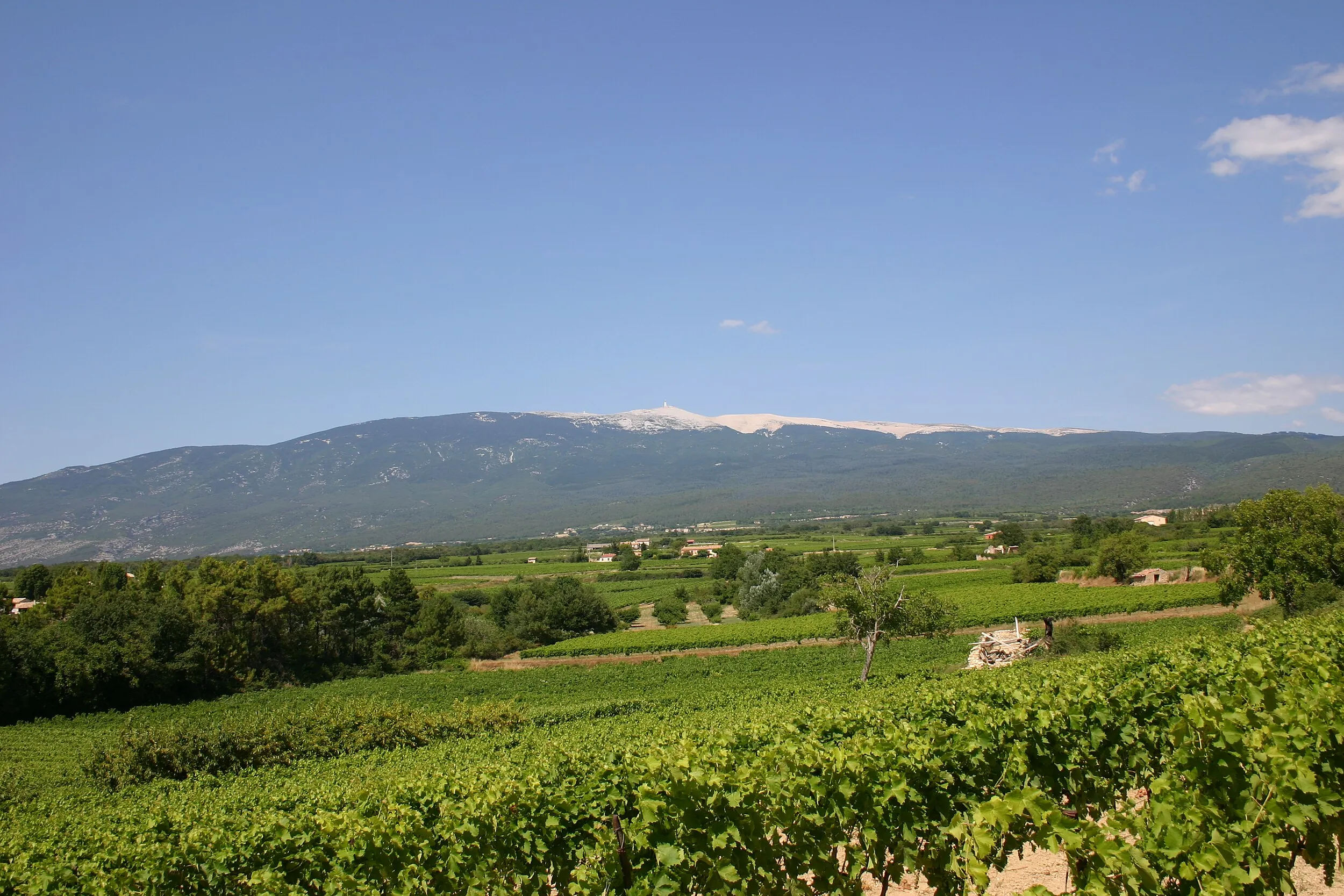 Vue de Entre-Vignes