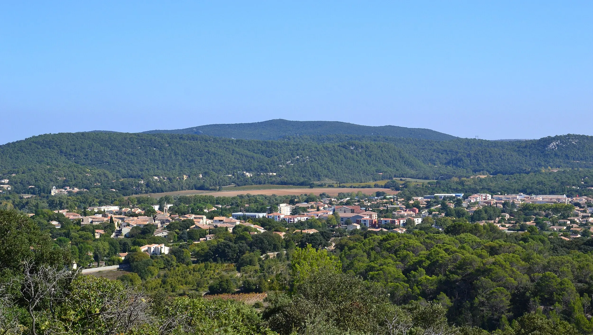 Vue de Saint-Mathieu-de-Tréviers