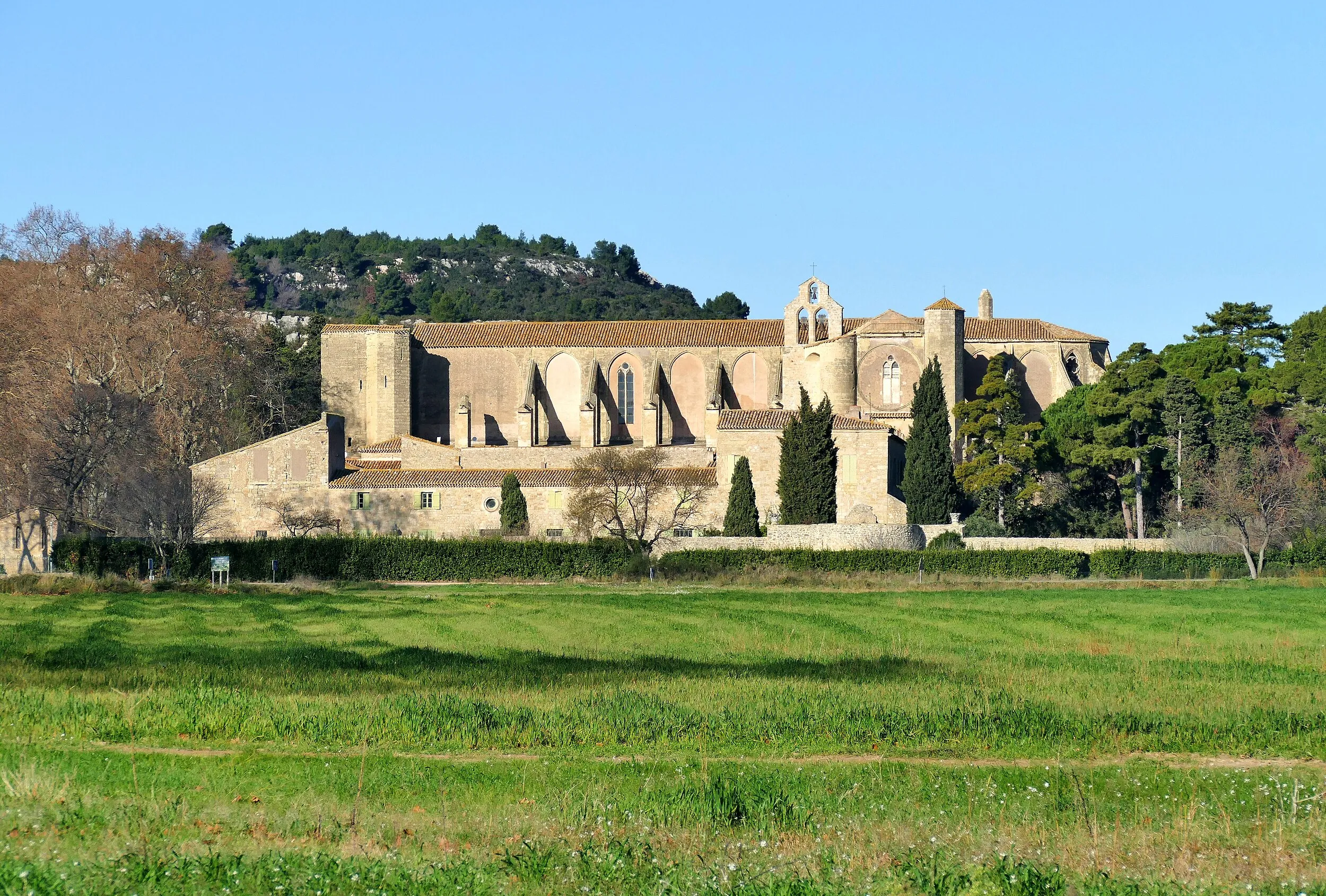 Vue de Villeveyrac