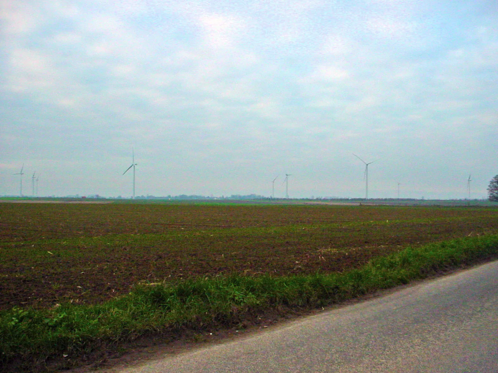 Vue de Maxent