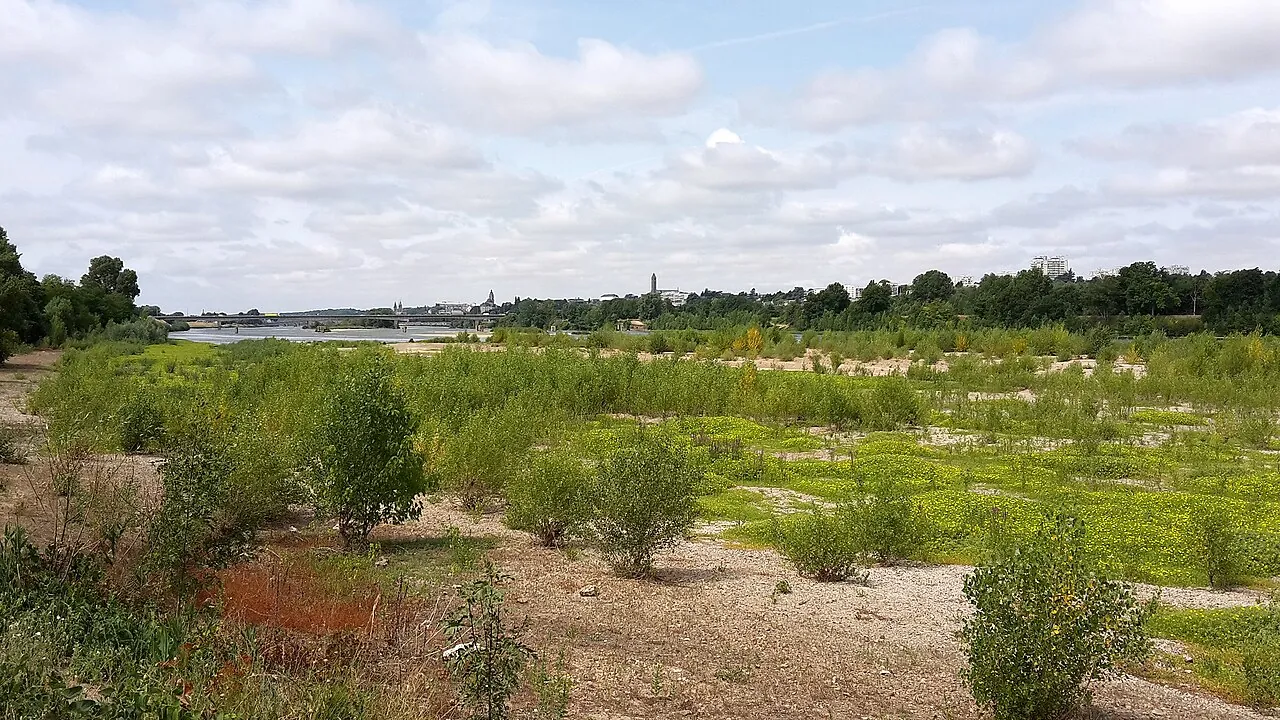Vue de Vineuil