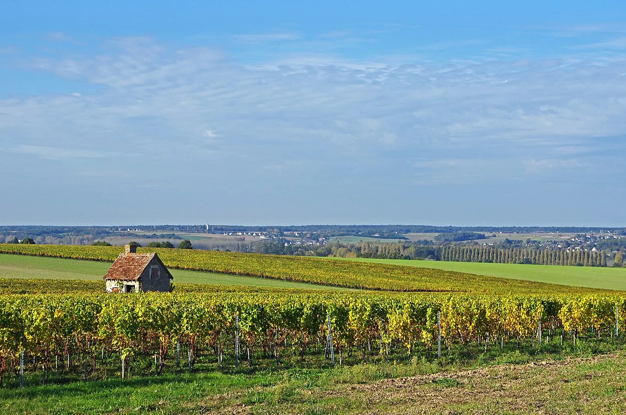 Vue de Bléré