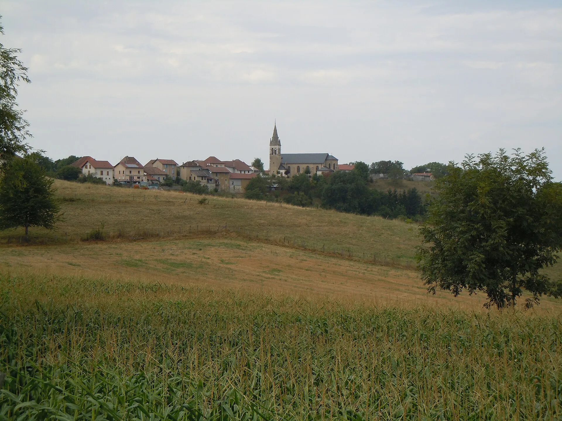Vue de Les Abrets en Dauphiné