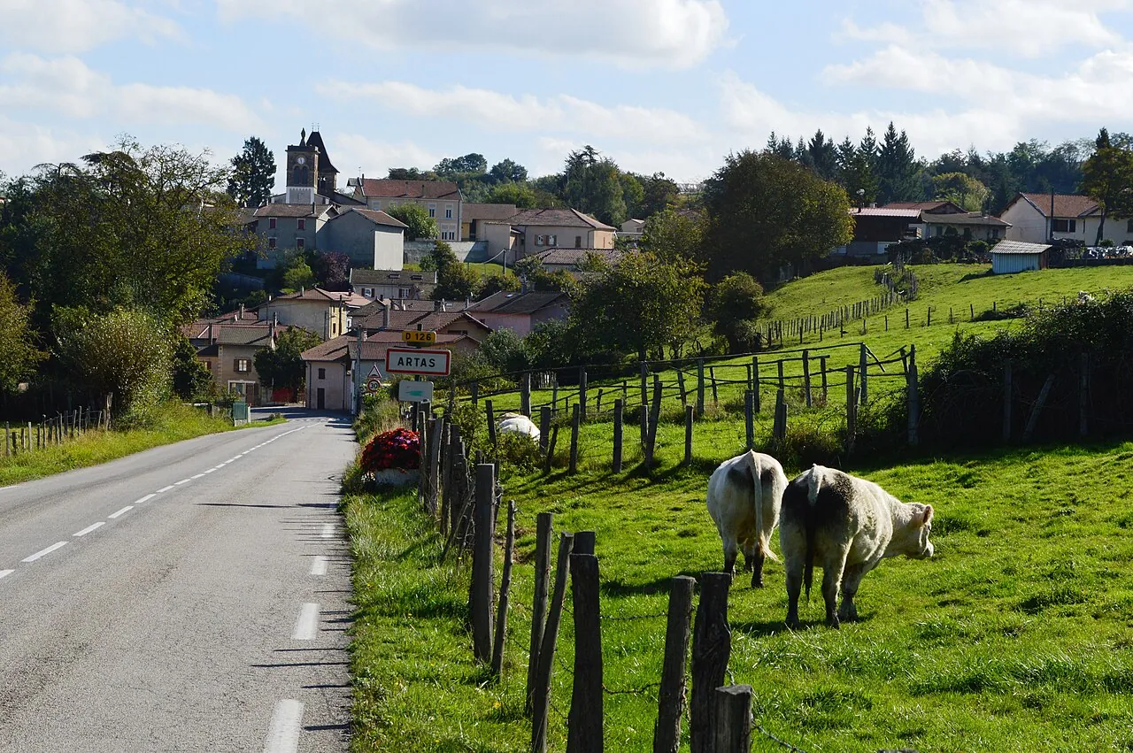 Vue de Artas