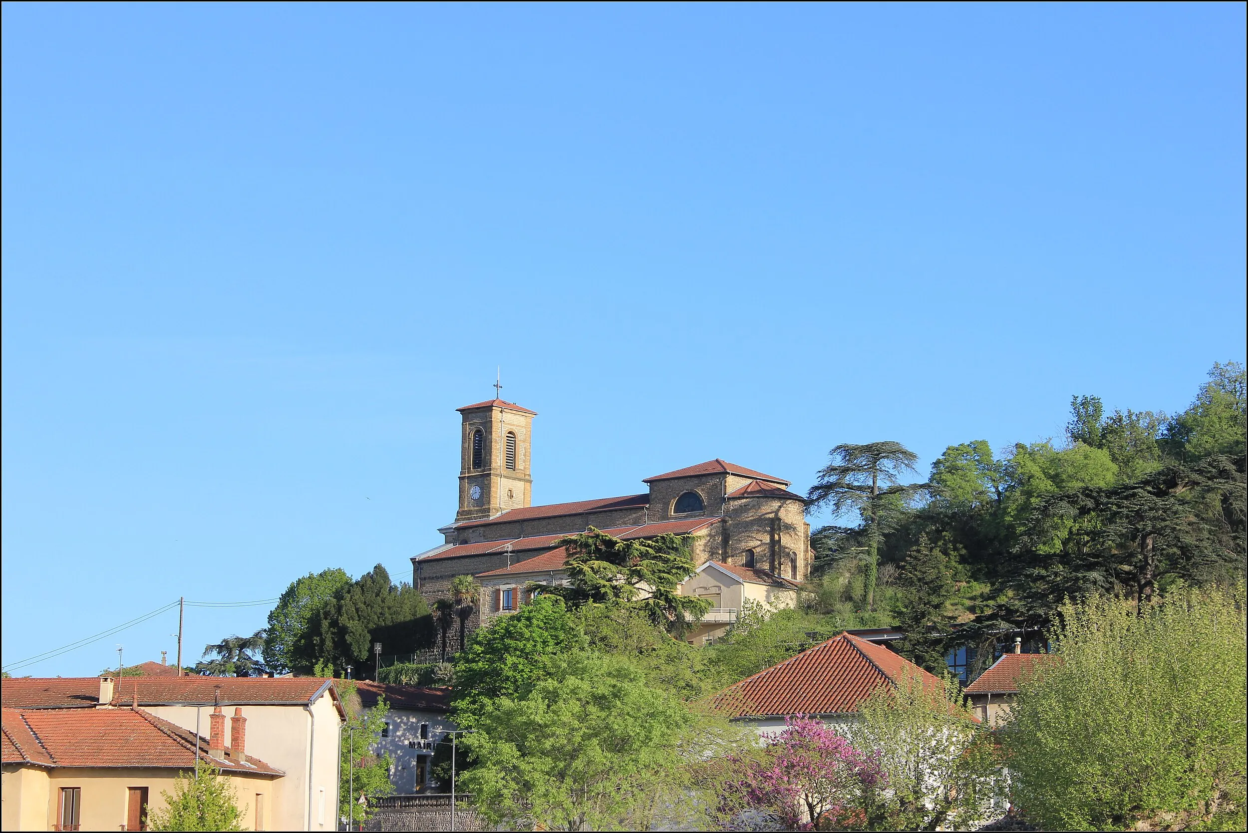 Vue de Chanas