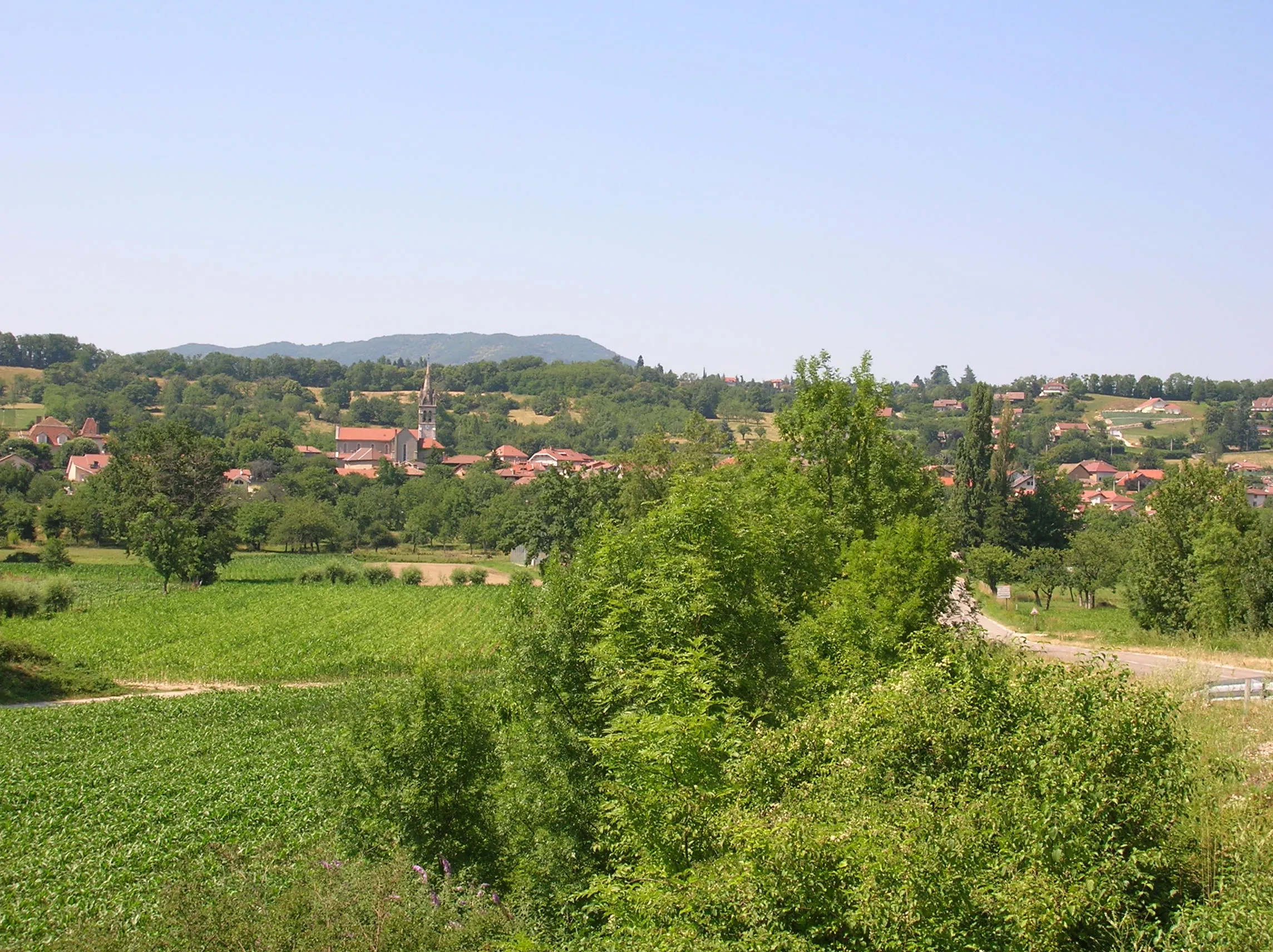 Vue de Saint-Jean-de-Moirans