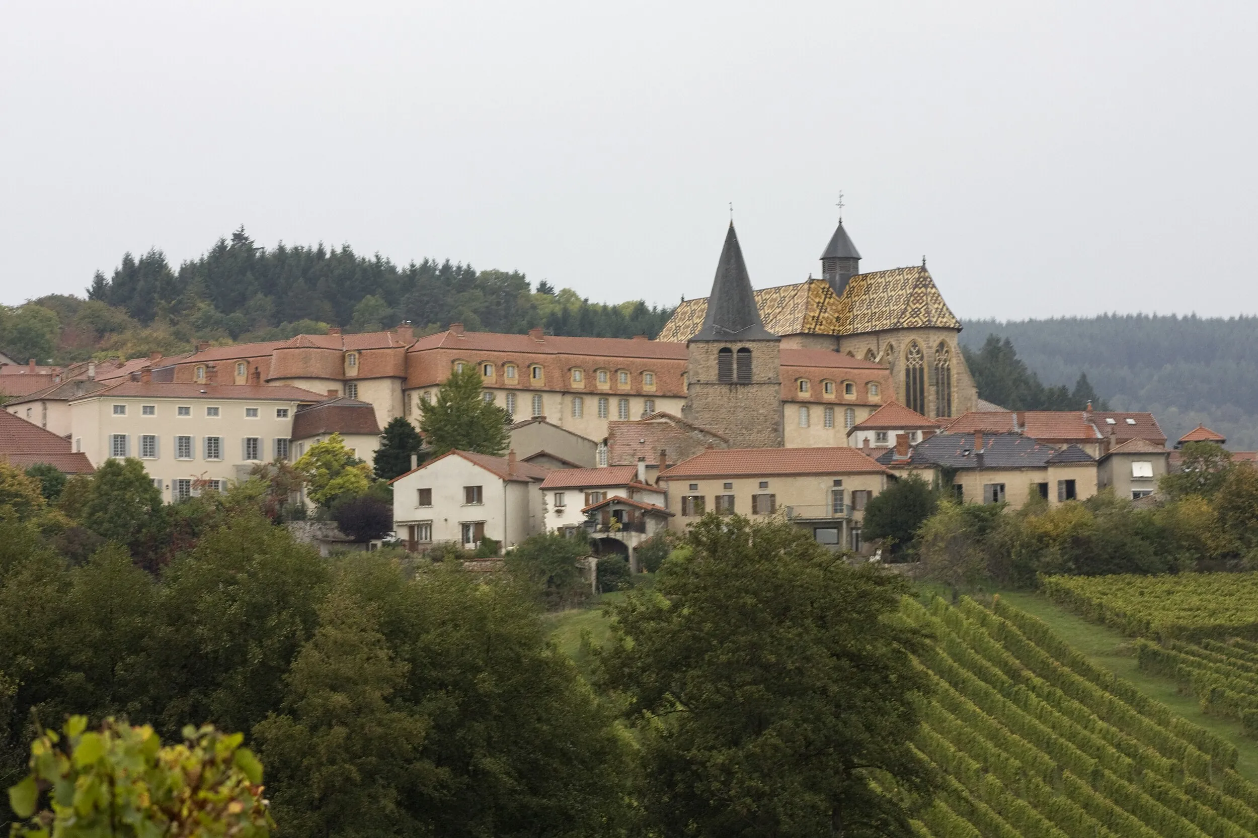 Vue de Ambierle
