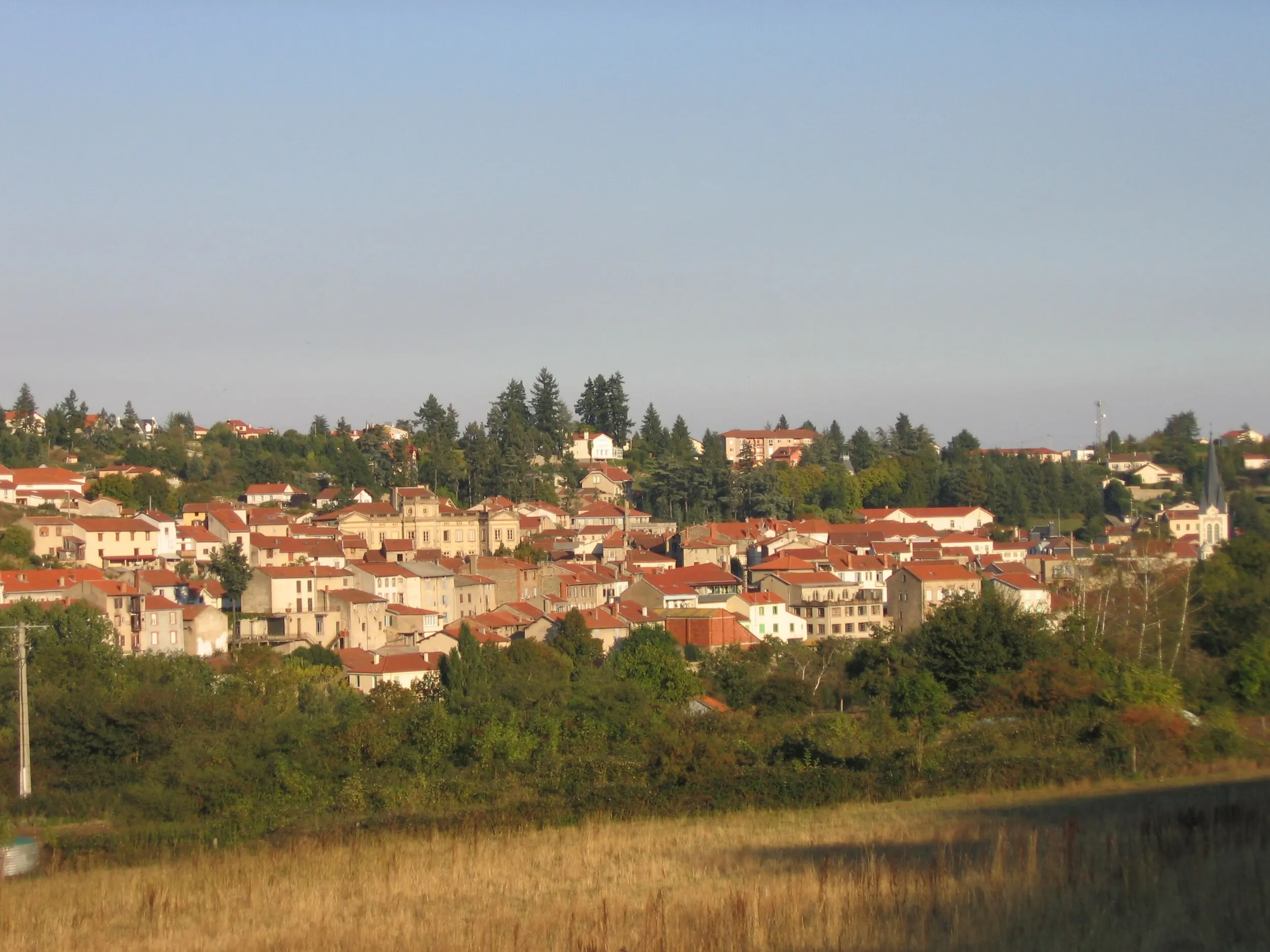 Vue de Boën-sur-Lignon