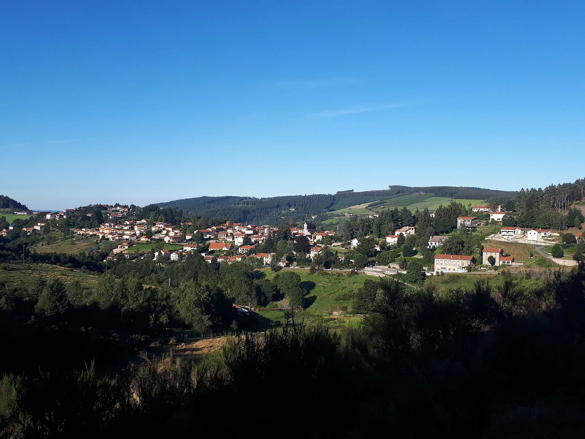 Vue de La Ricamarie