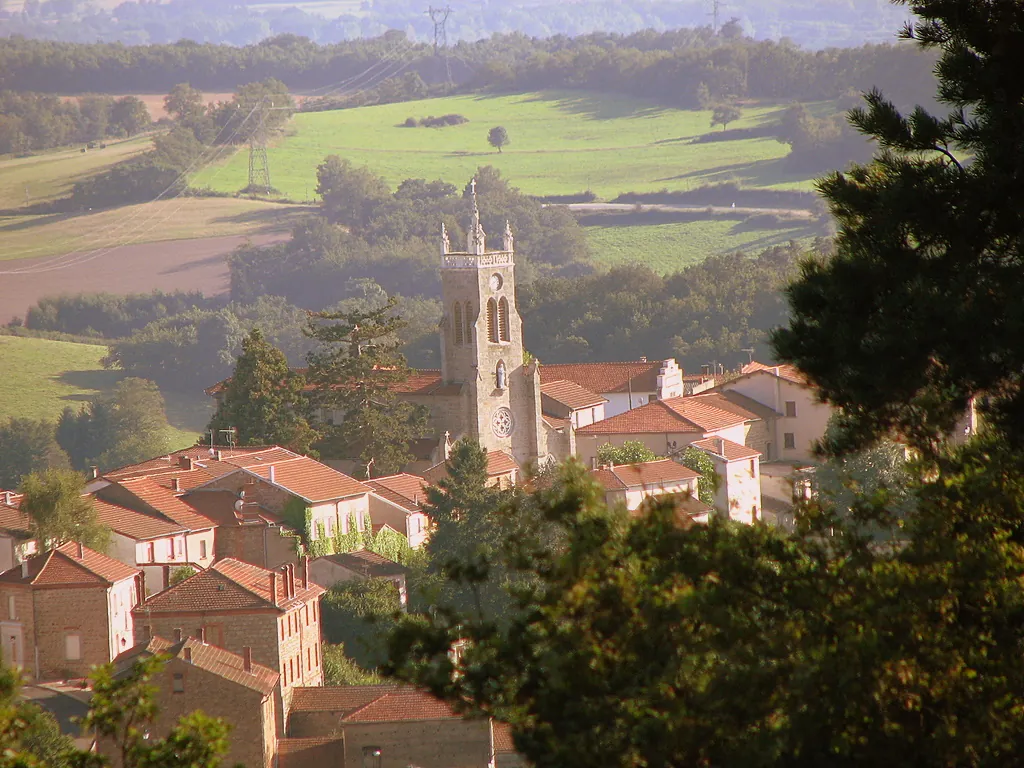 Vue de Rozier-en-Donzy