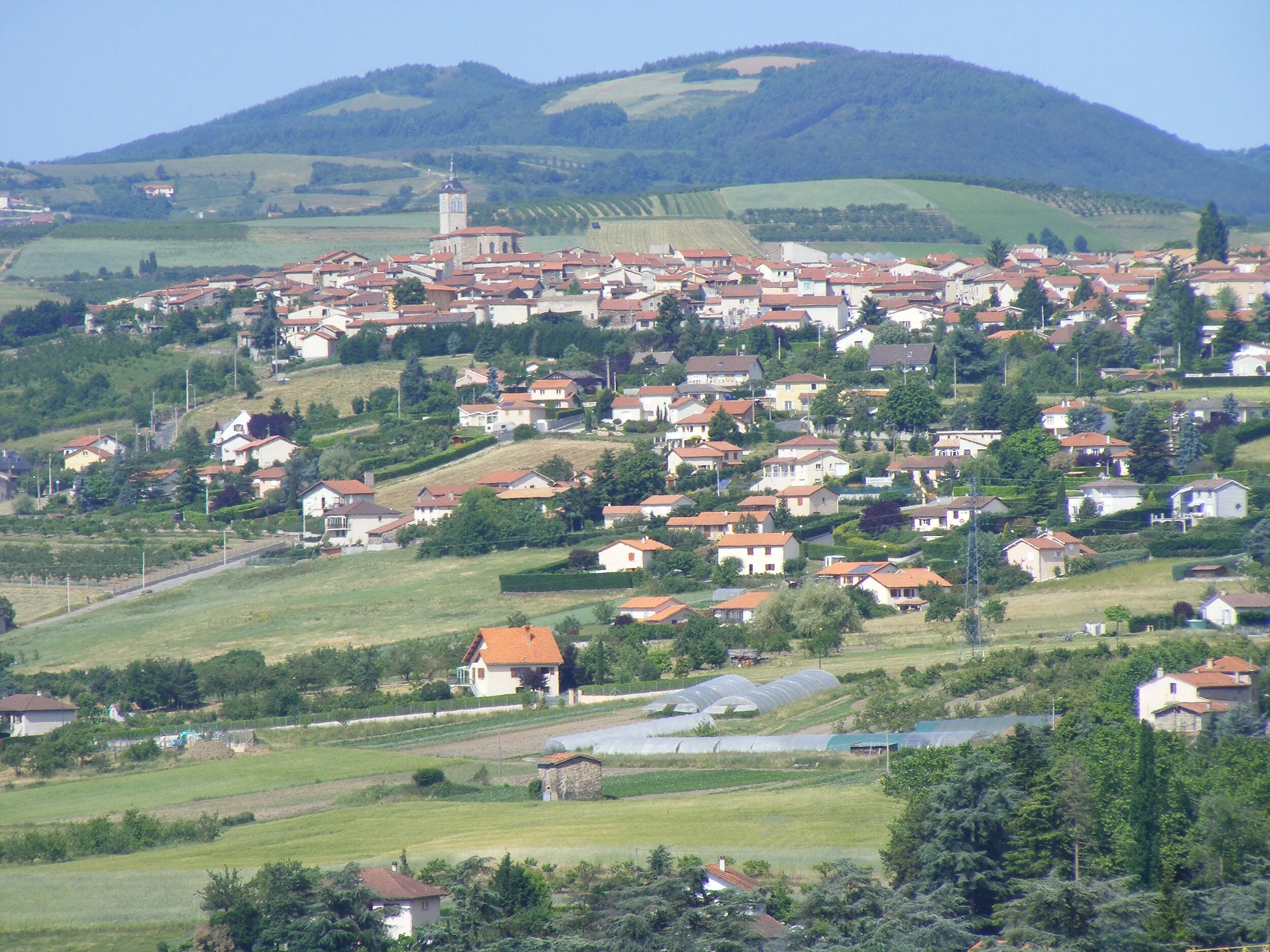 Vue de Genilac