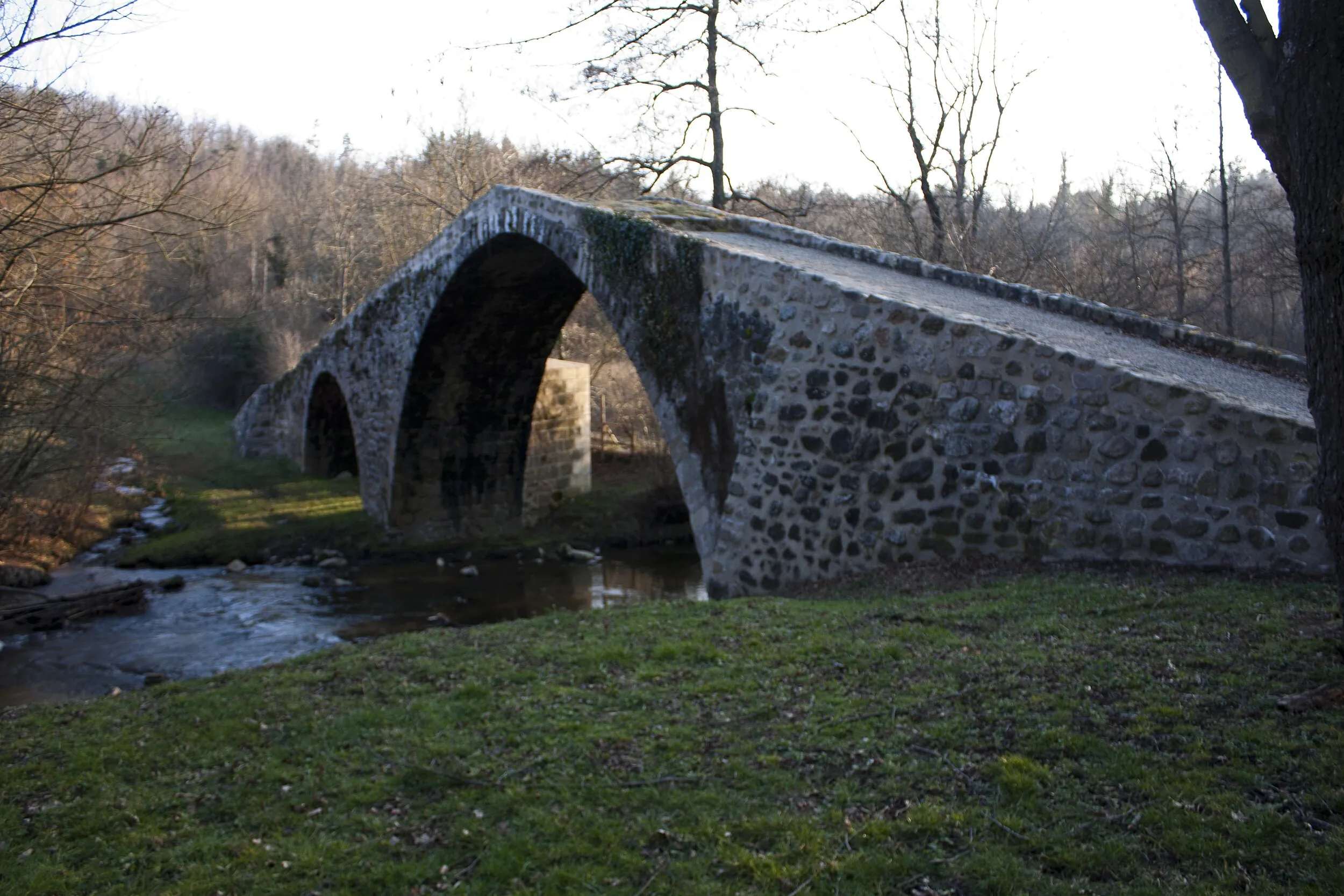 Vue de Saint-Marcellin-en-Forez