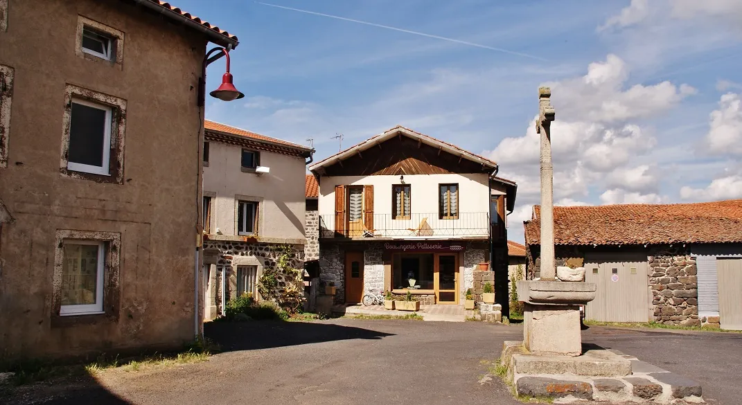 Vue de Sanssac-l'Église