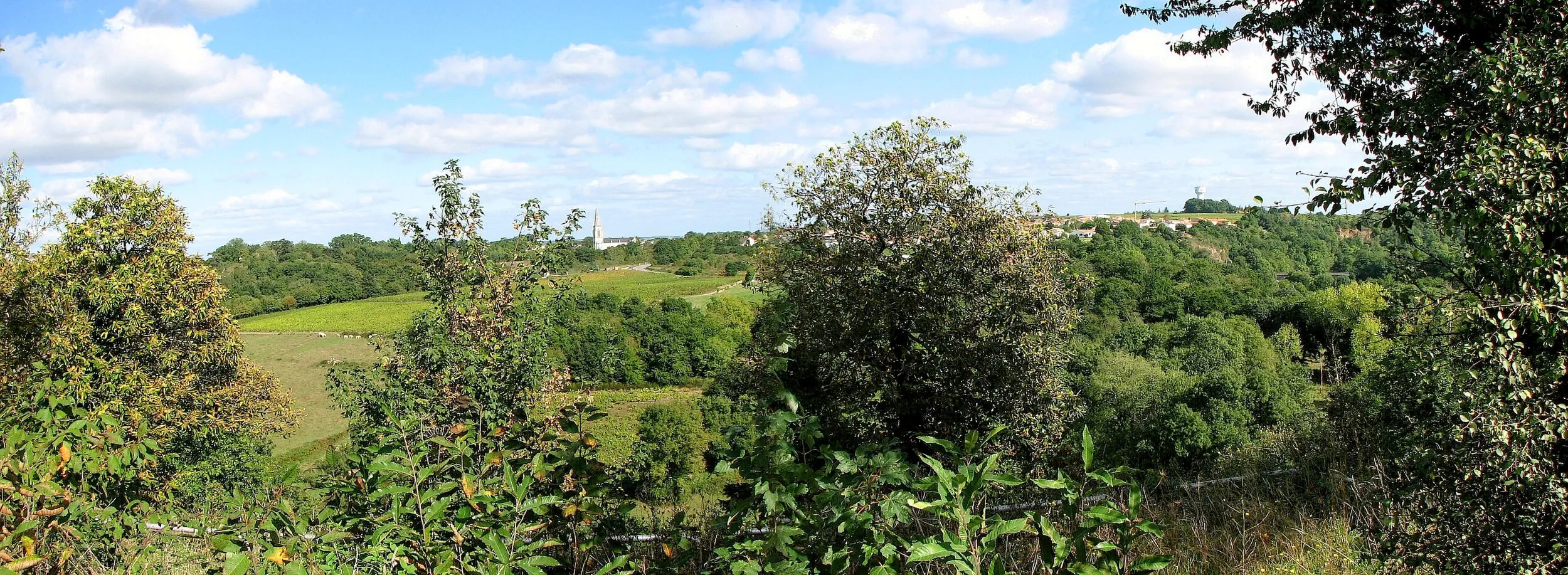 Vue de La Haie-Fouassière