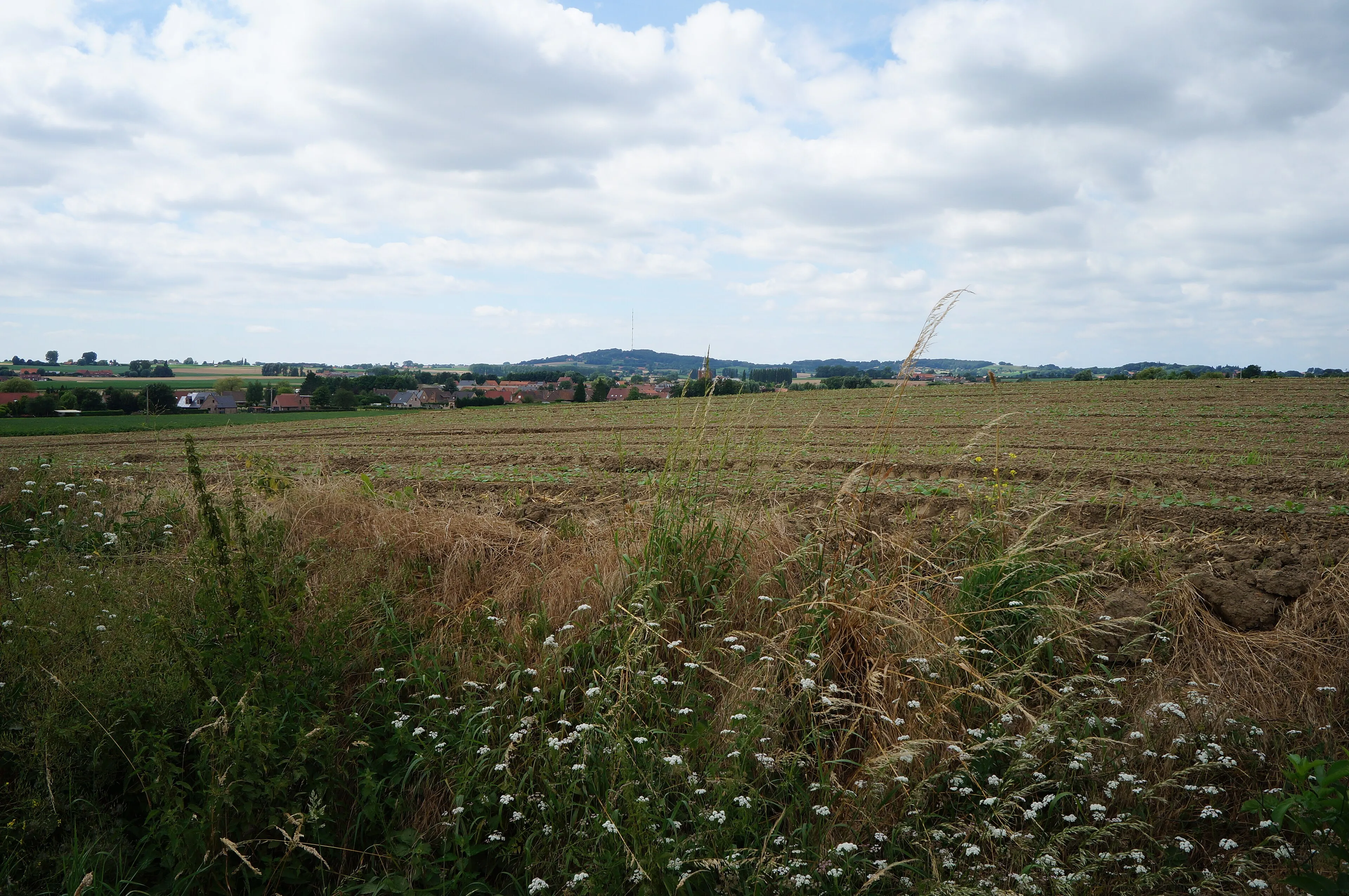 Vue de Jans