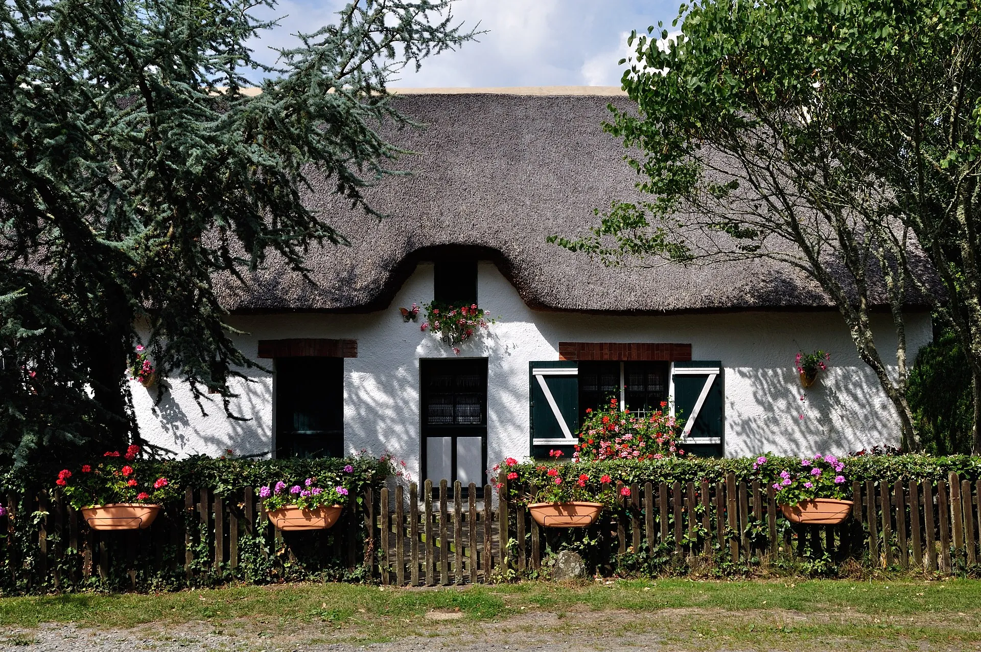Vue de Saint-André-des-Eaux