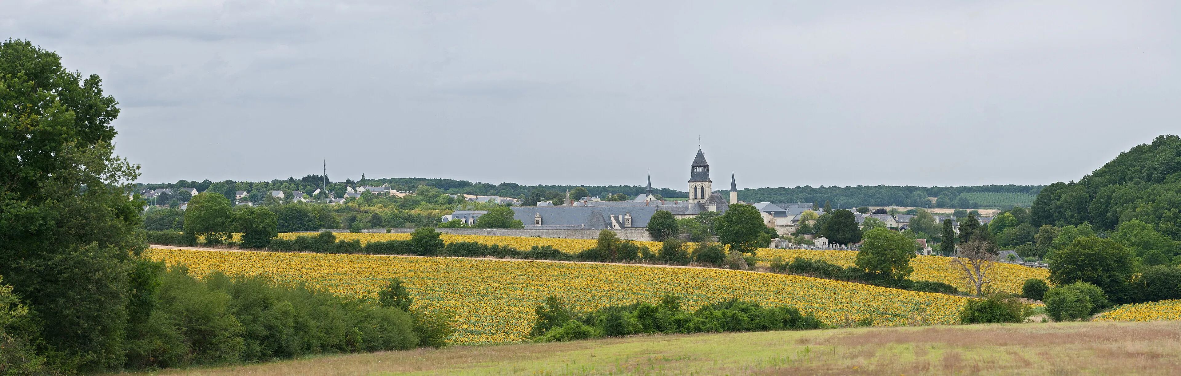 Vue de Fontevraud-l'Abbaye