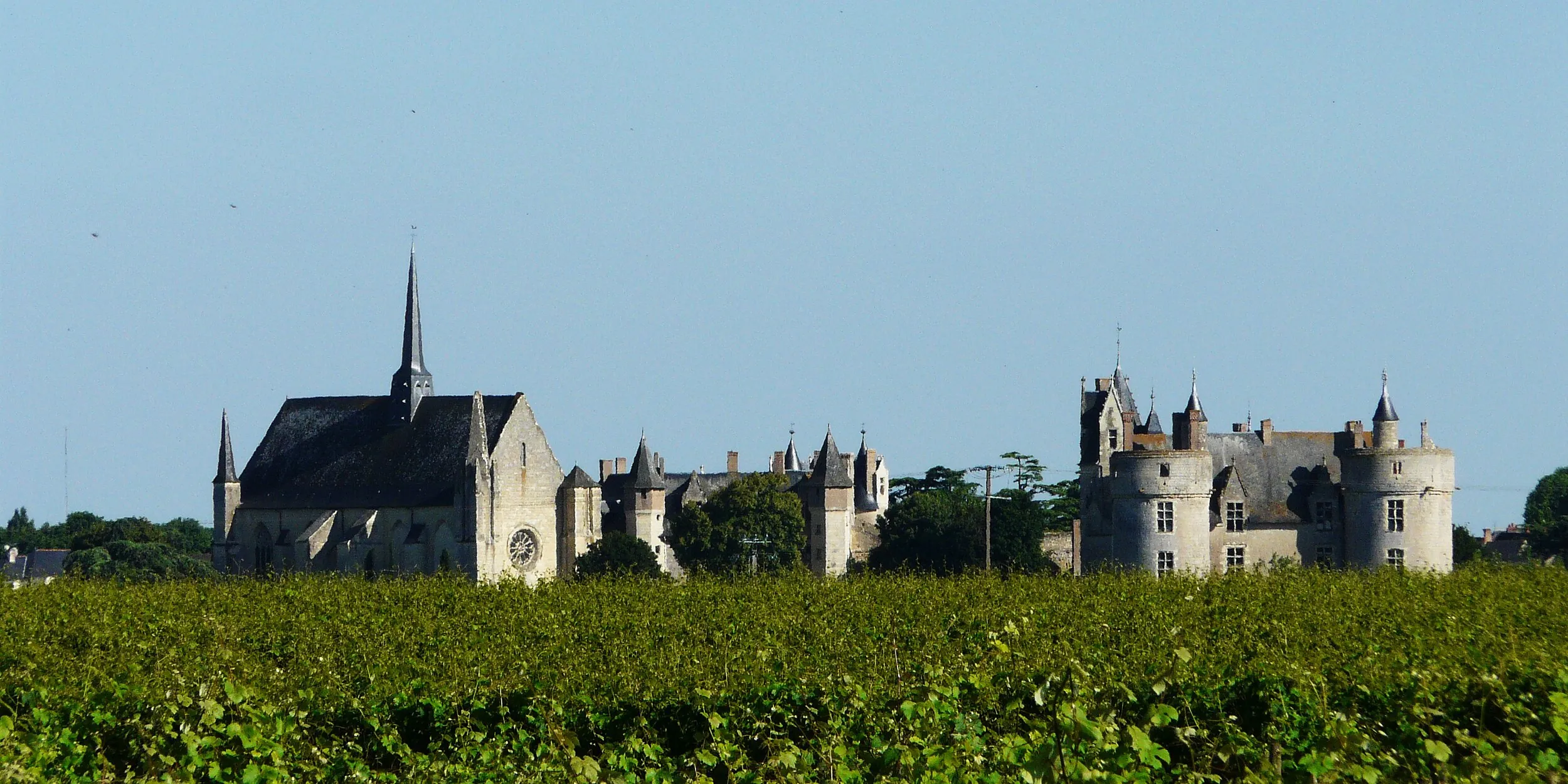 Vue de Montreuil-Bellay