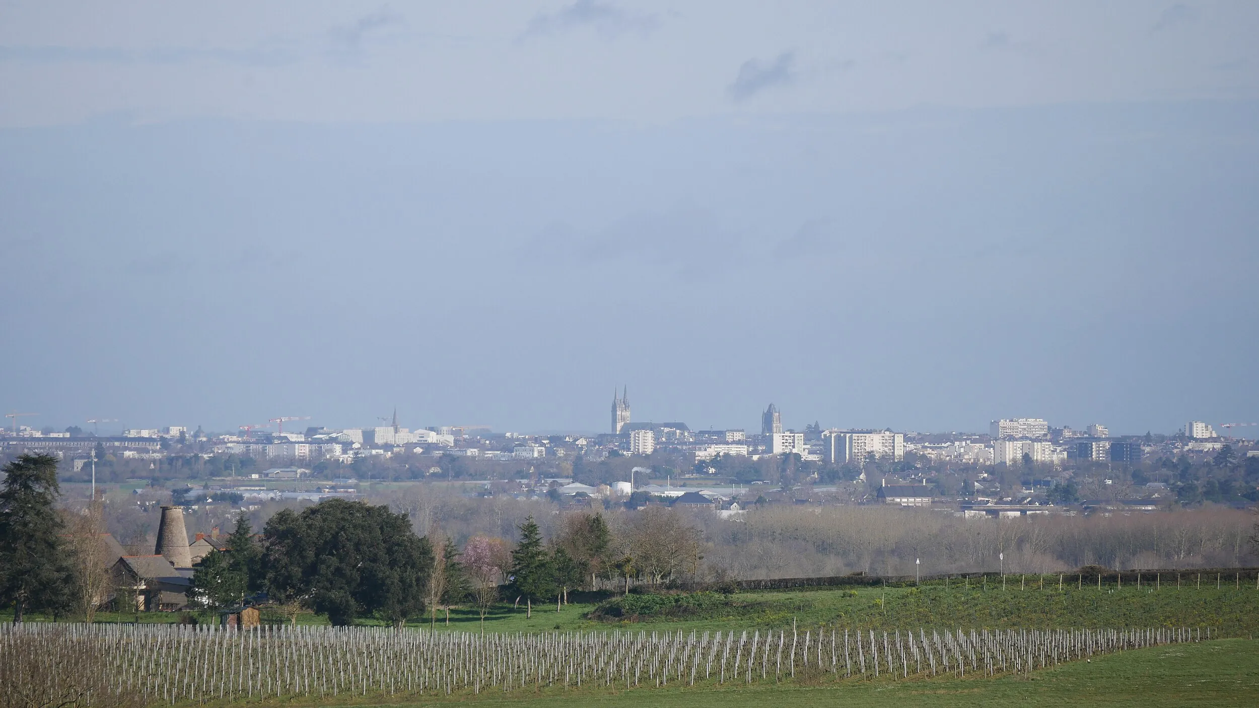 Vue de Mozé-sur-Louet