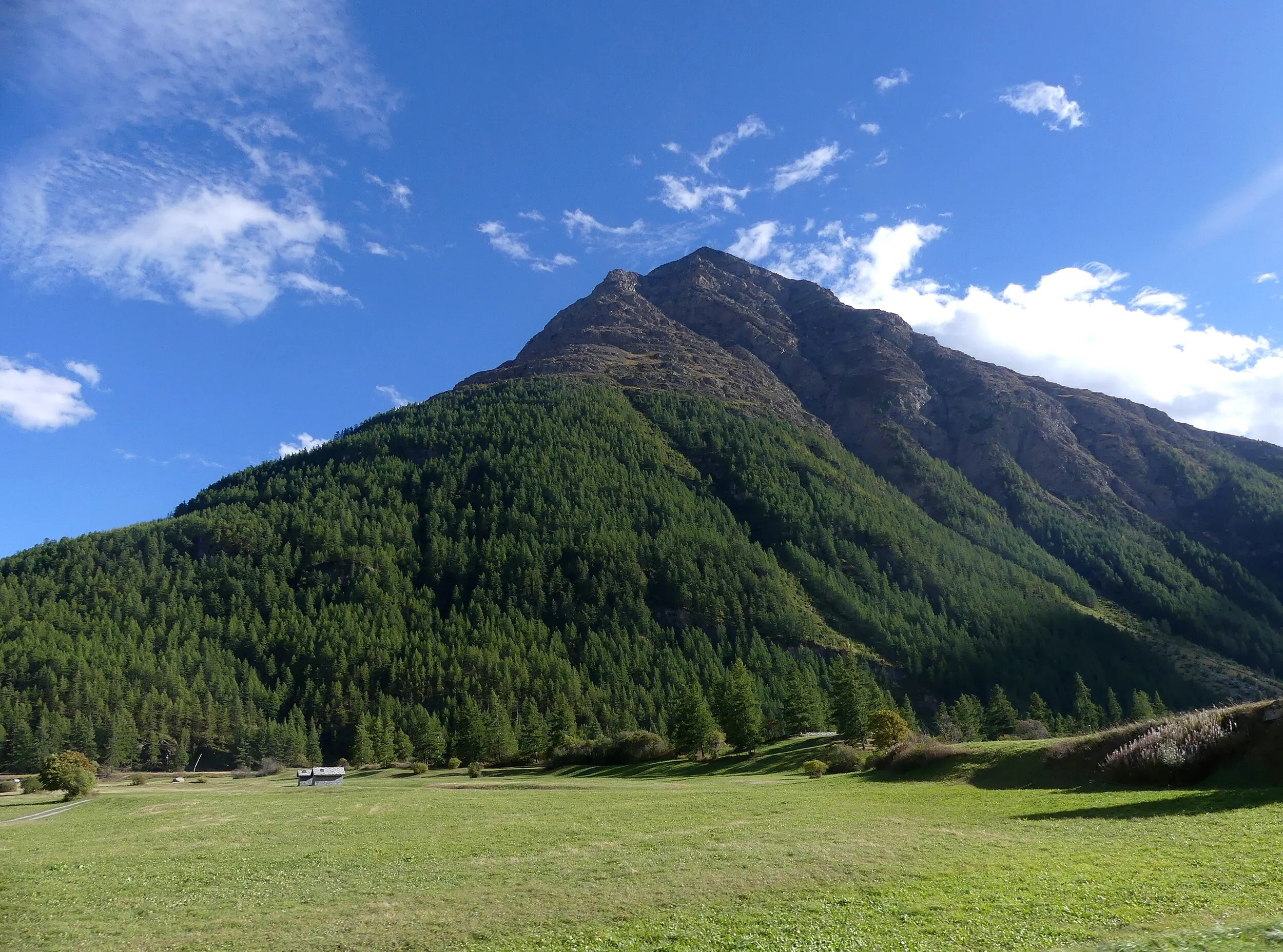 Vue de Tiercé