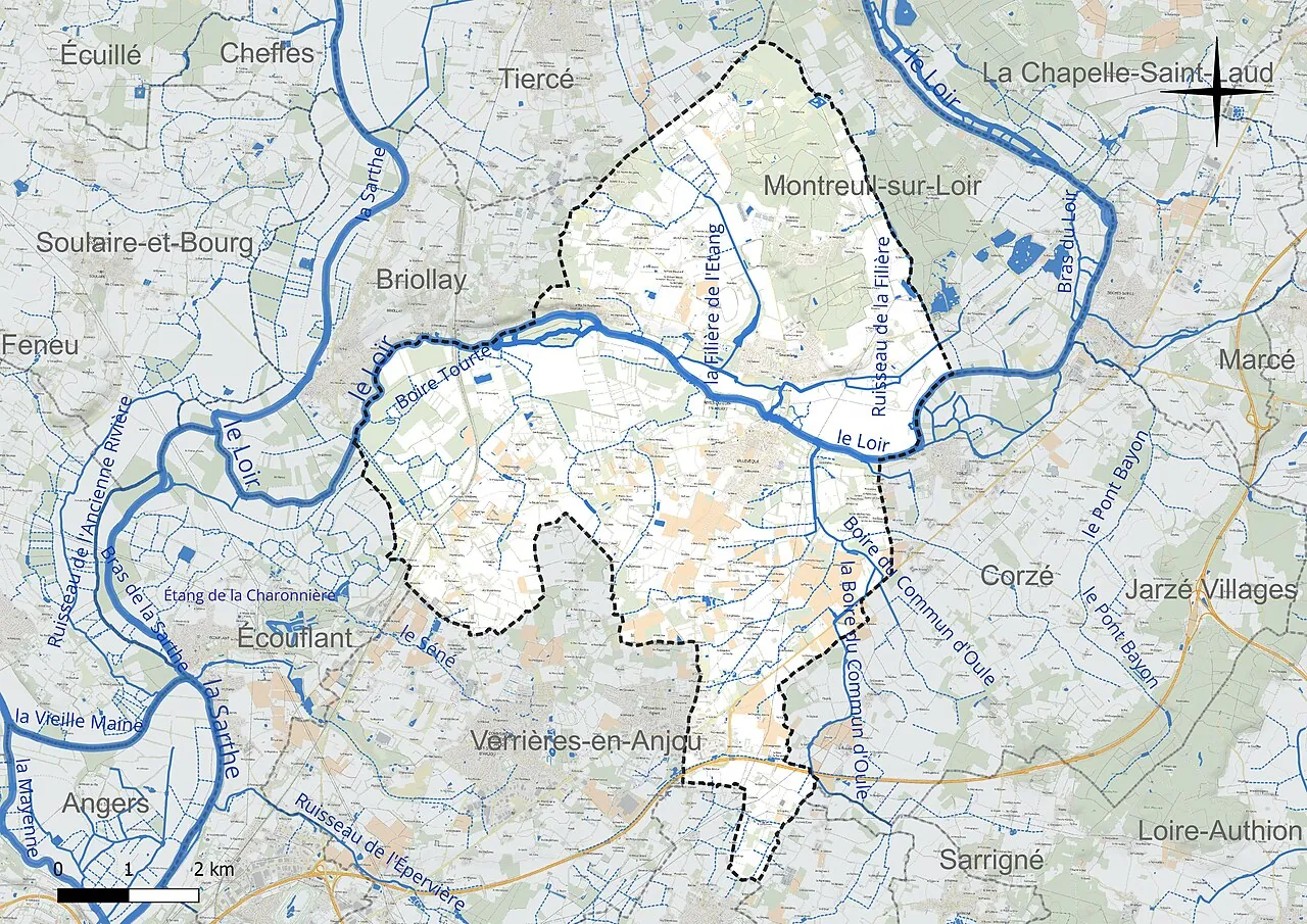 Vue de Rives-du-Loir-en-Anjou