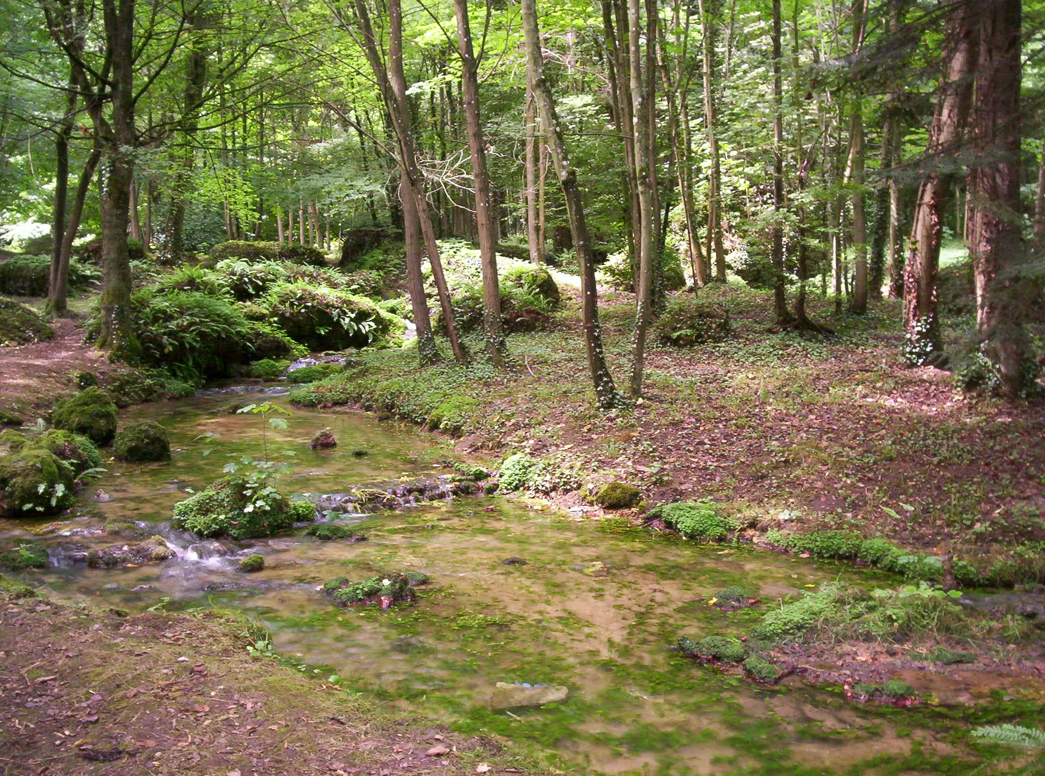 Vue de Saint-Martin-d'Ablois