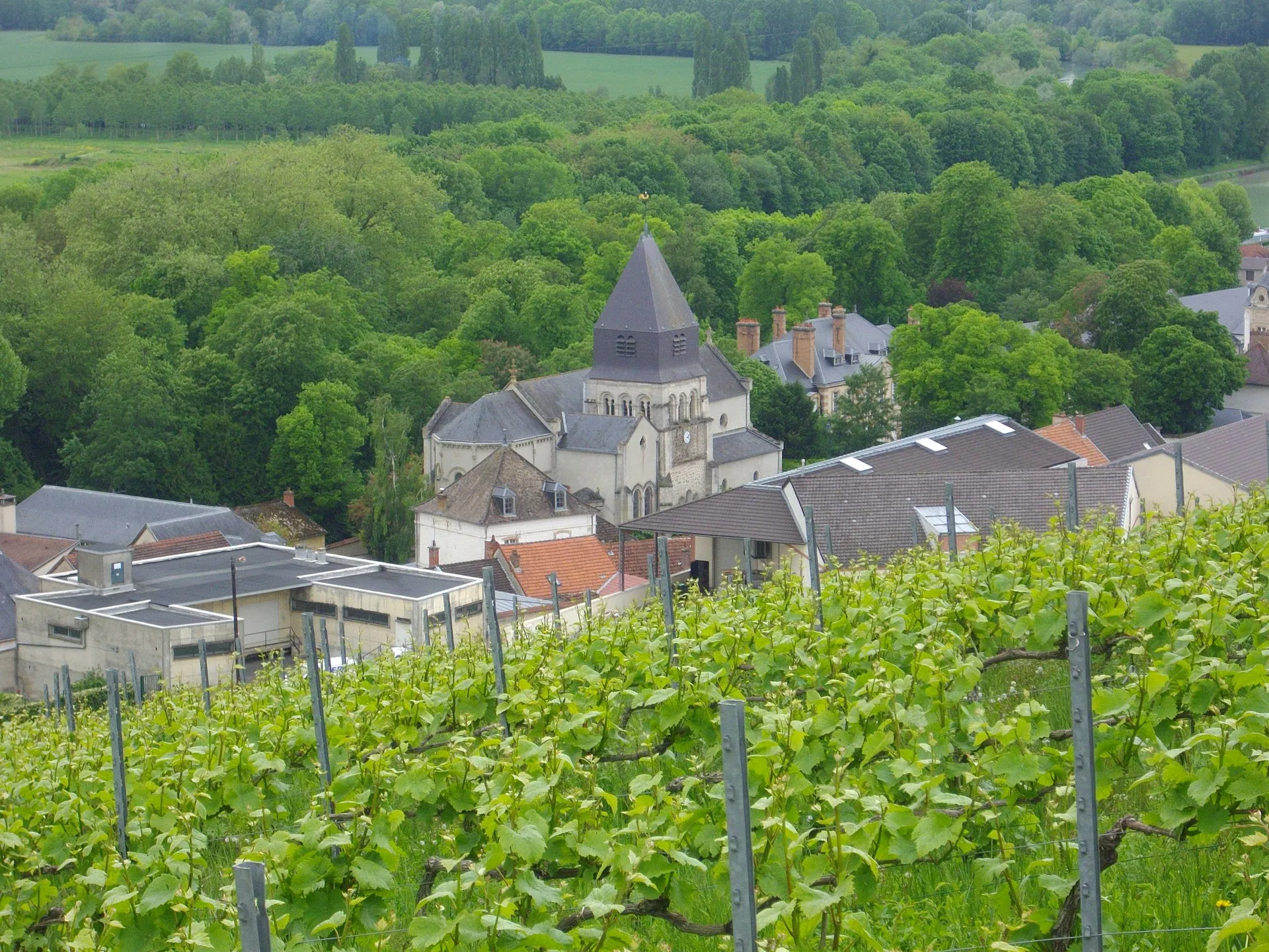 Vue de Aÿ-Champagne